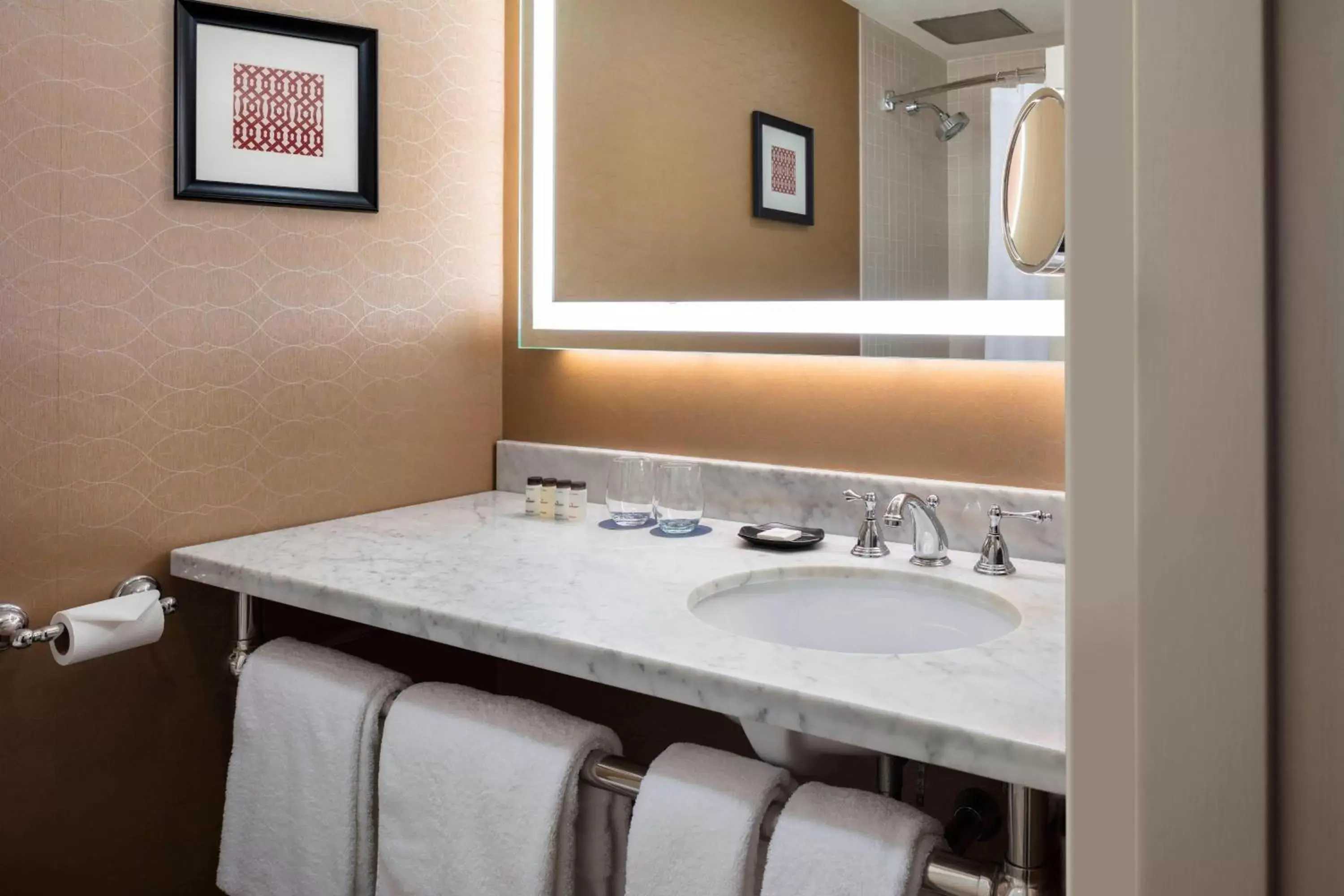 Bathroom in Sheraton Commander Hotel