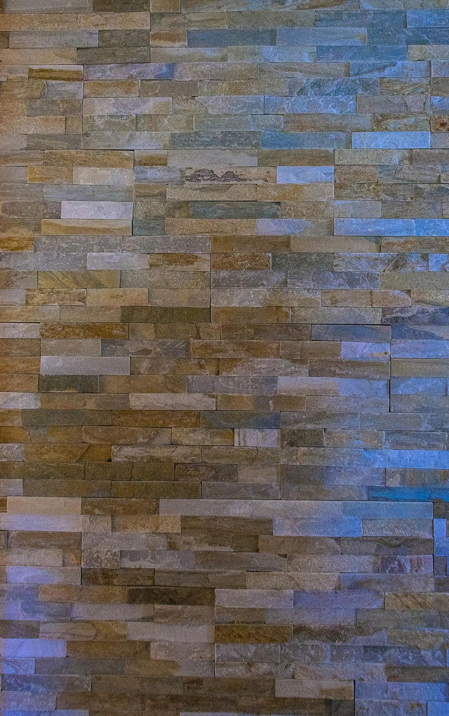 Other in Hotel Cesario