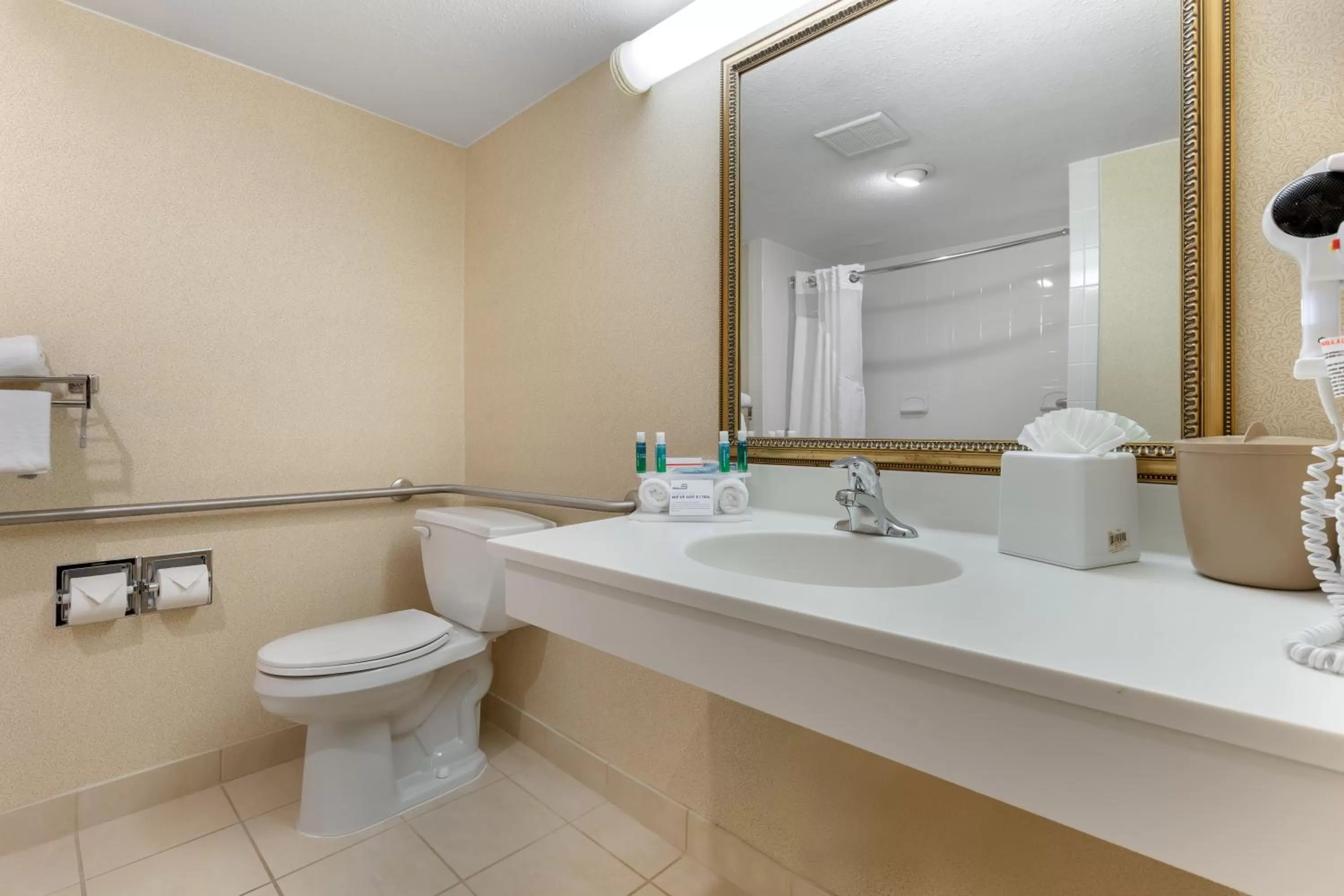 Deluxe King Room - Hearing Accessible with Bath Tub/Non-Smoking in Holiday Inn Express Chicago-Downers Grove, an IHG Hotel