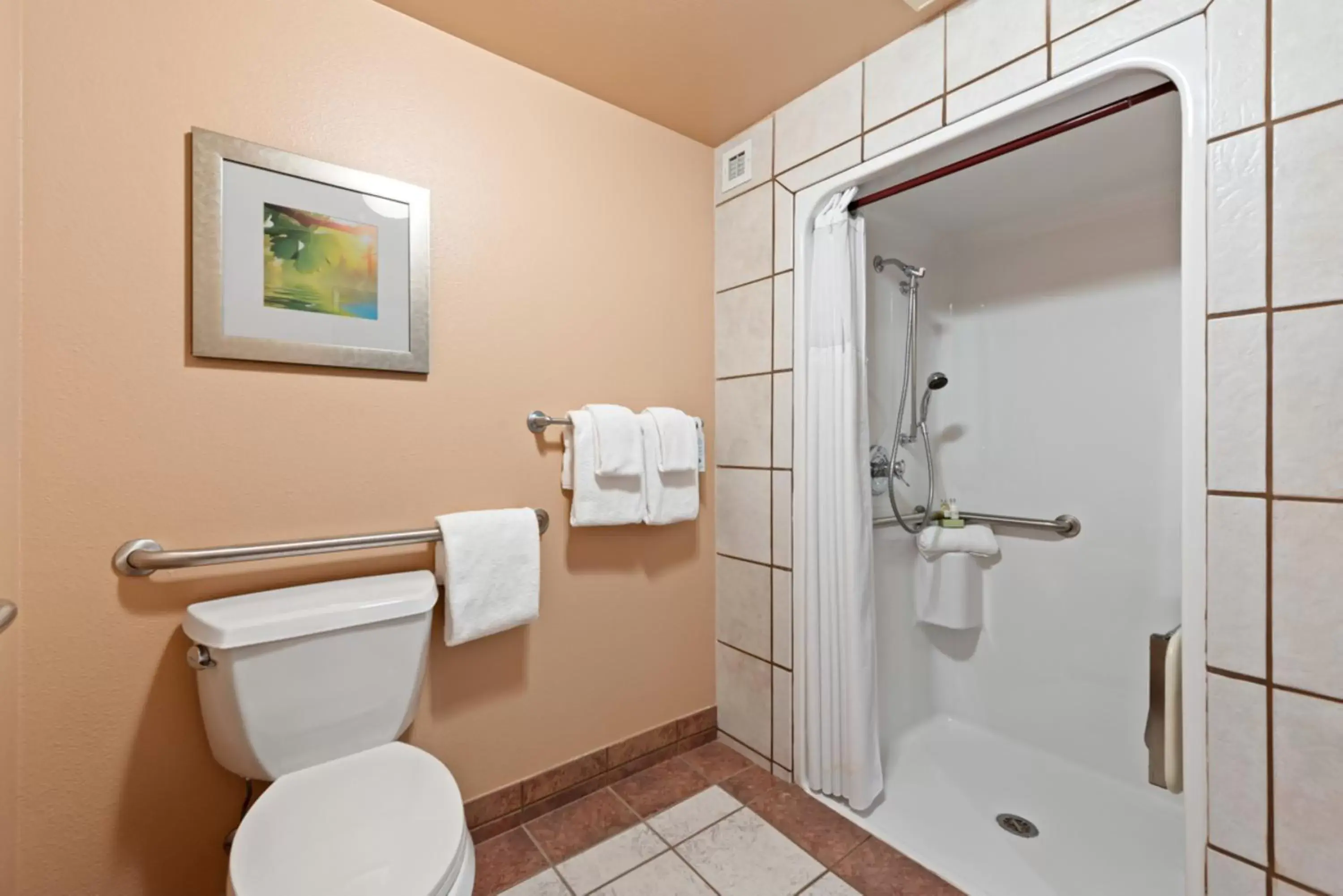 Shower, Bathroom in The Estes Park Resort