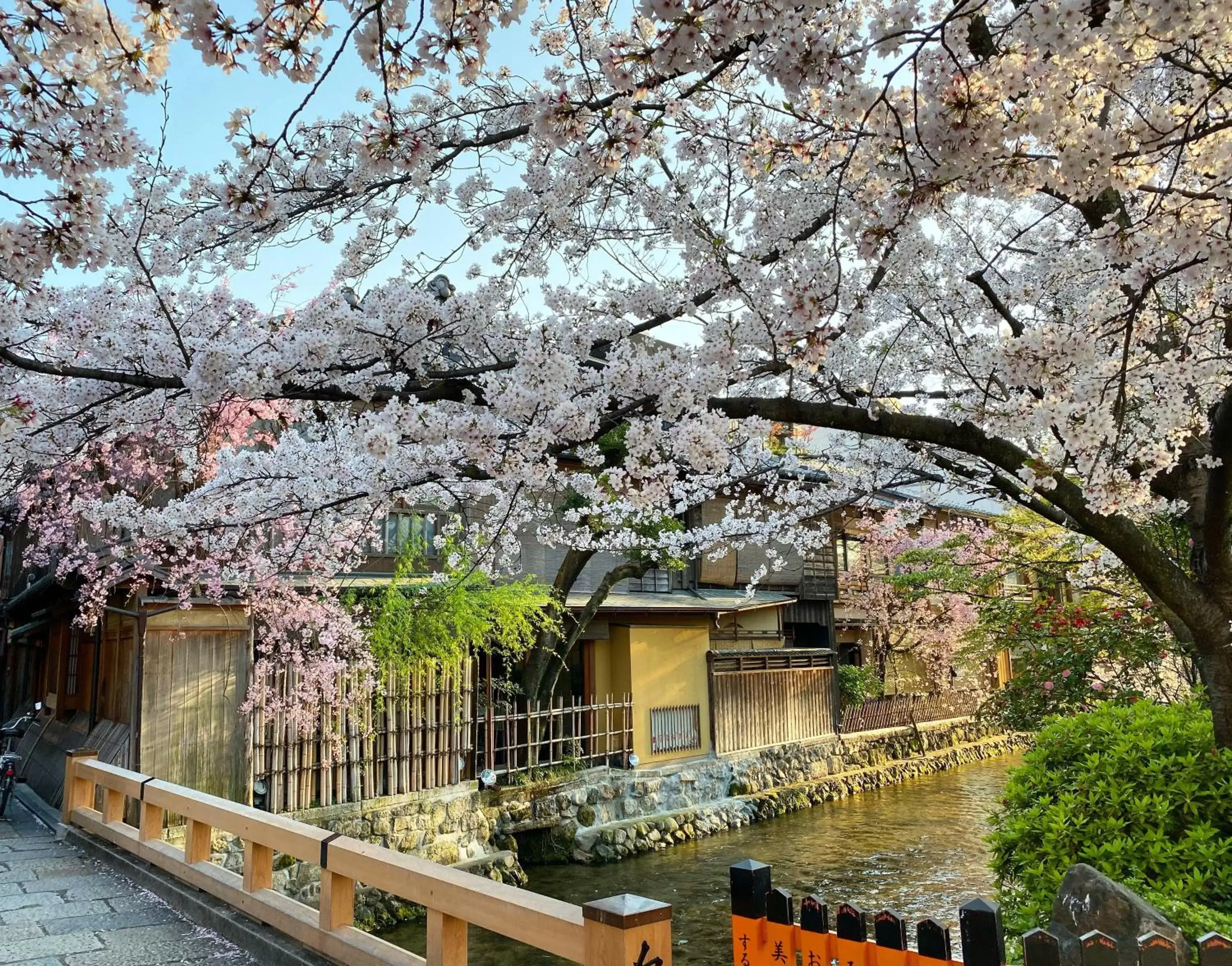 Nearby landmark, Property Building in Rinn Gion Shirakawa