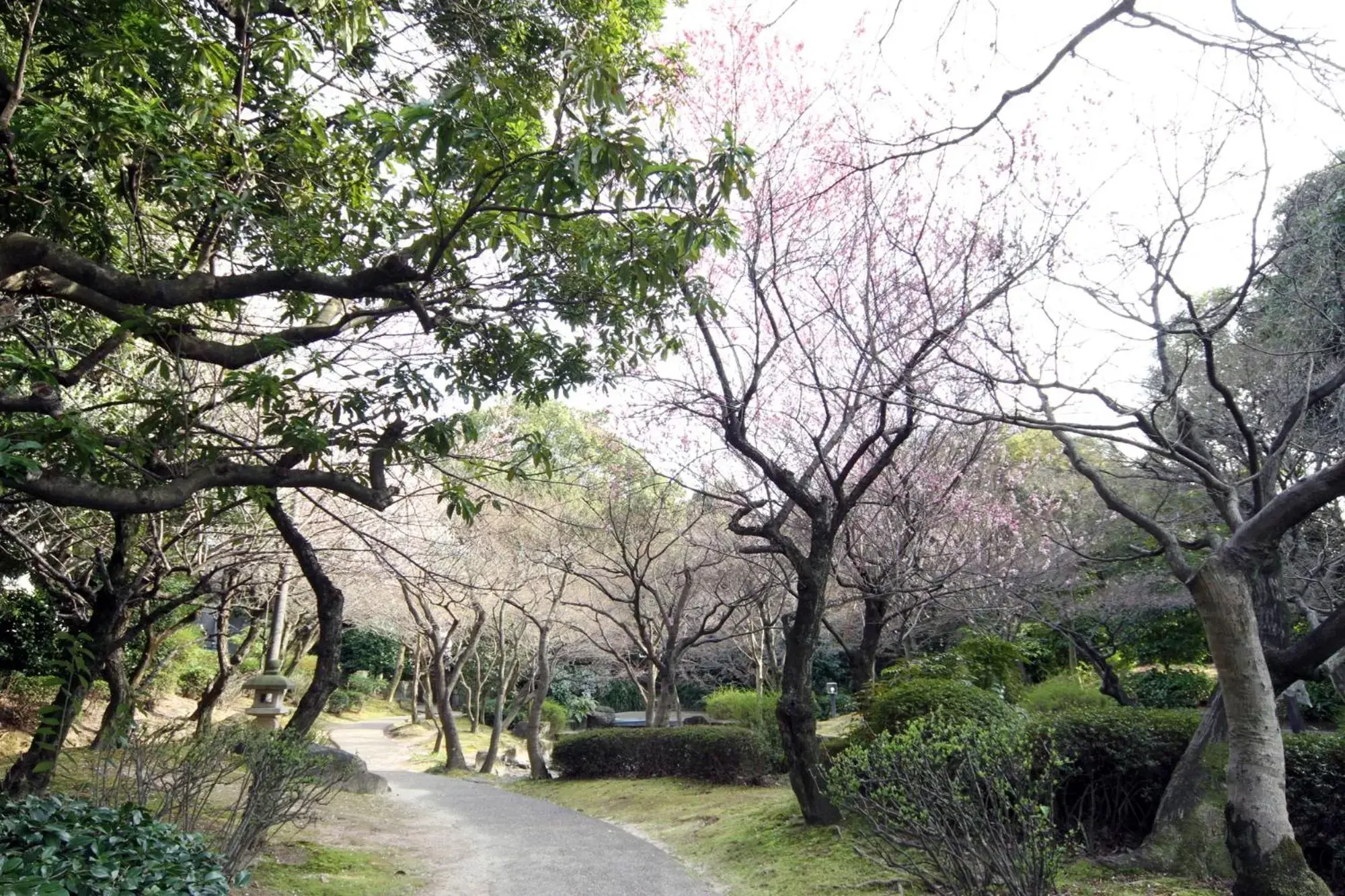 Natural landscape in Hotel Hiroshima Sunplaza