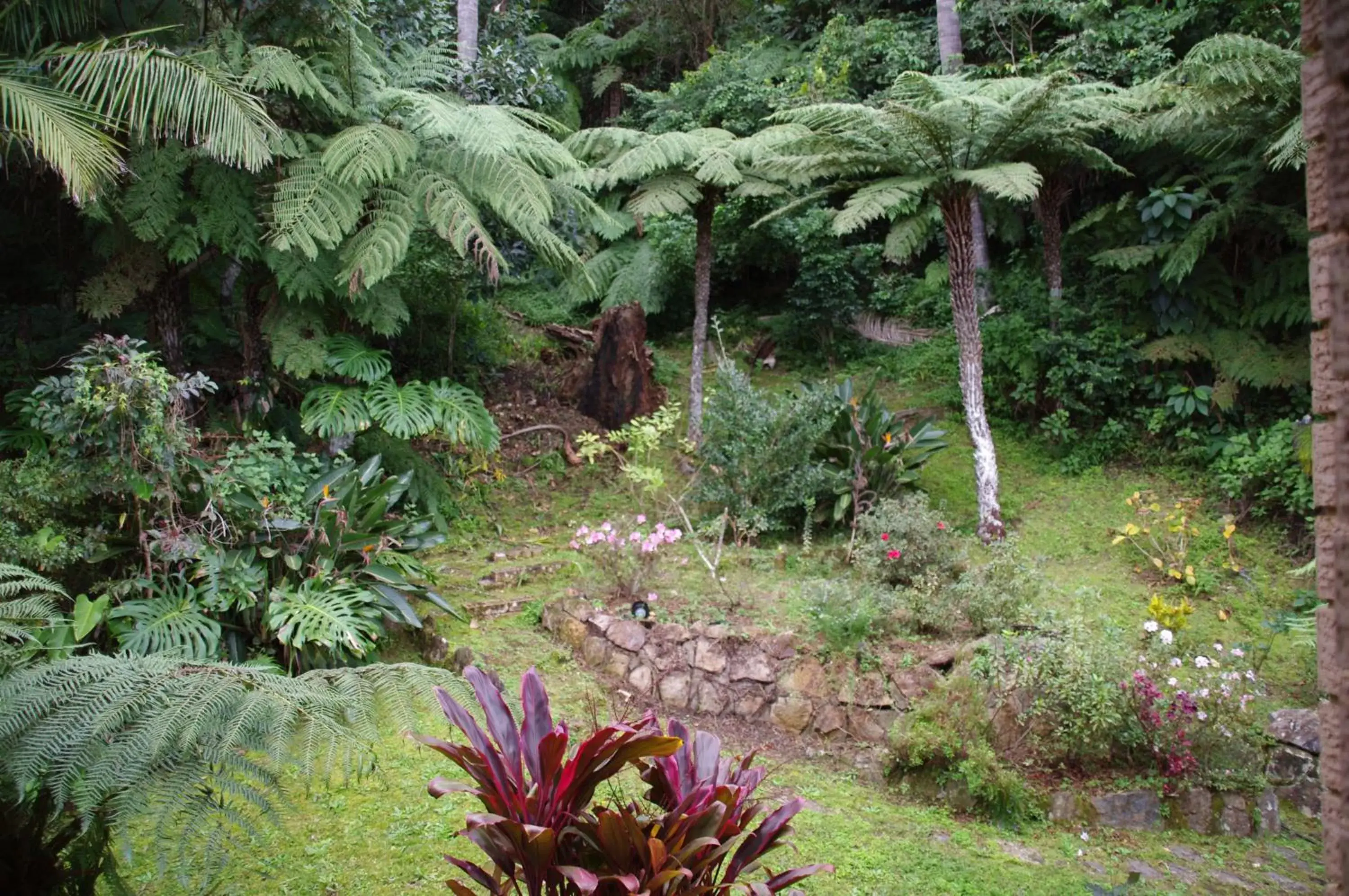 Bird's eye view, Garden in Marcel Towers Holiday Apartments