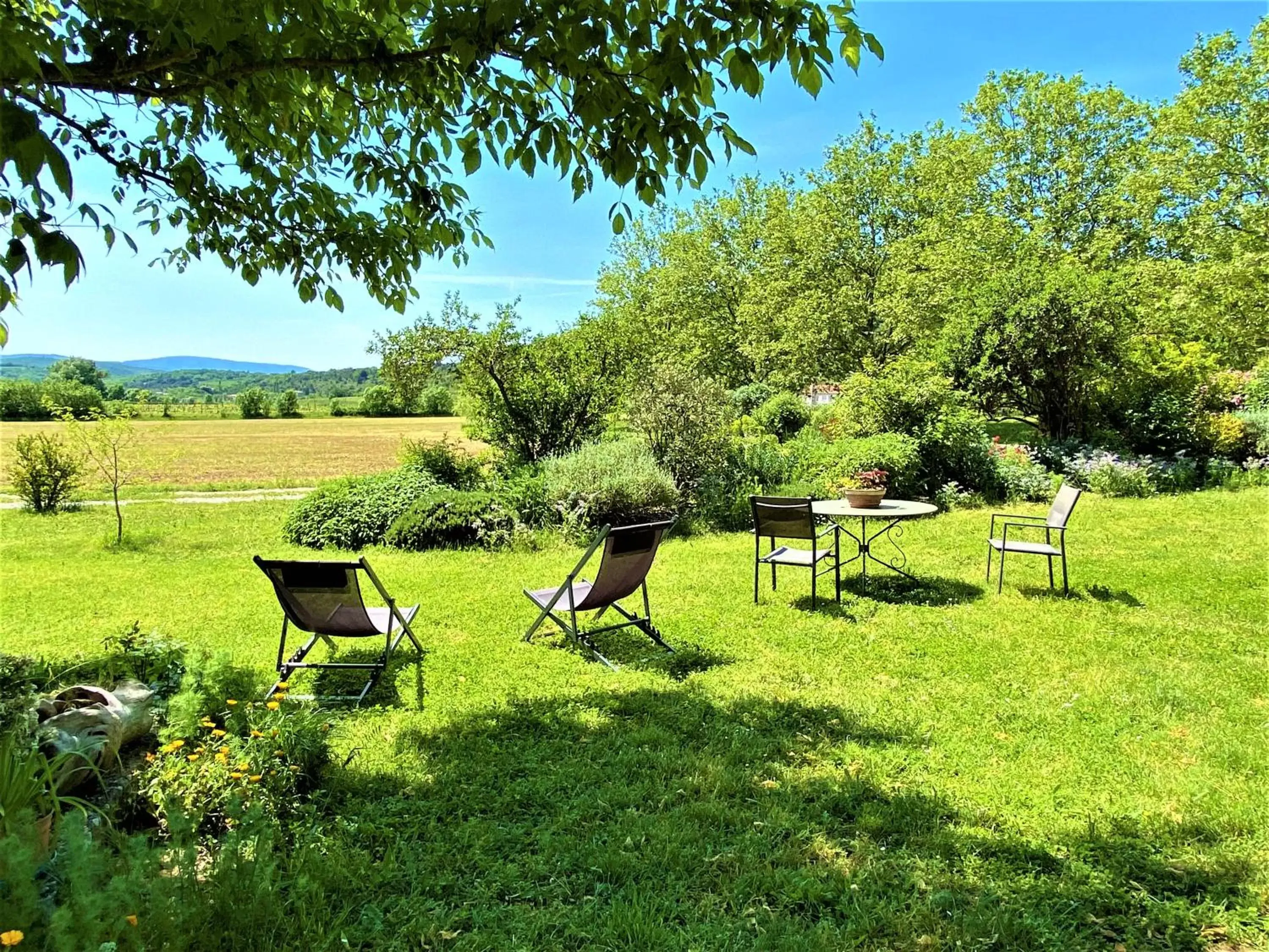 Garden in Gîte de groupe 16p, 7 ch, 6 sdb, PARC et SALLE DE RECEPTION