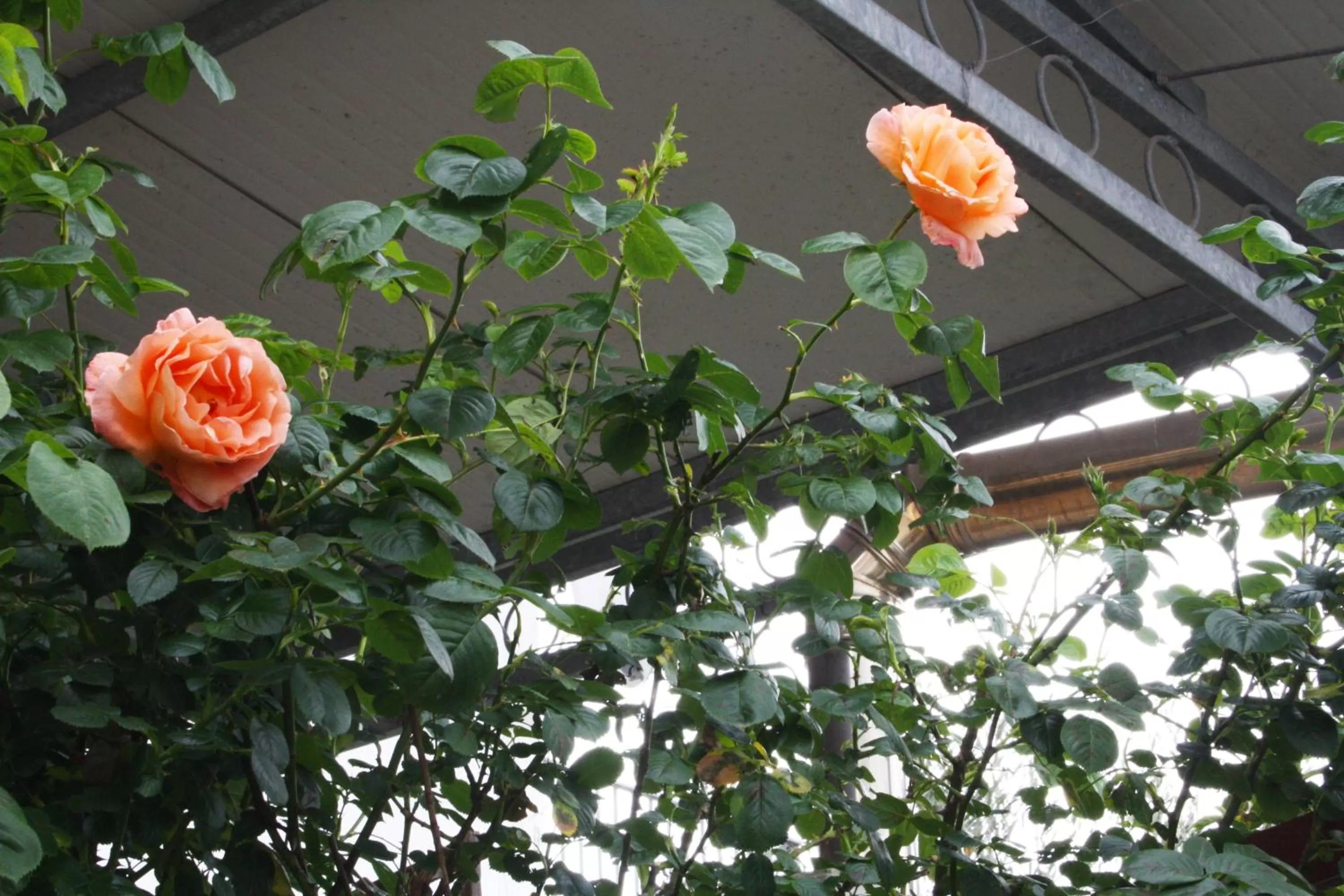 On site in Mini suite alla Cascata