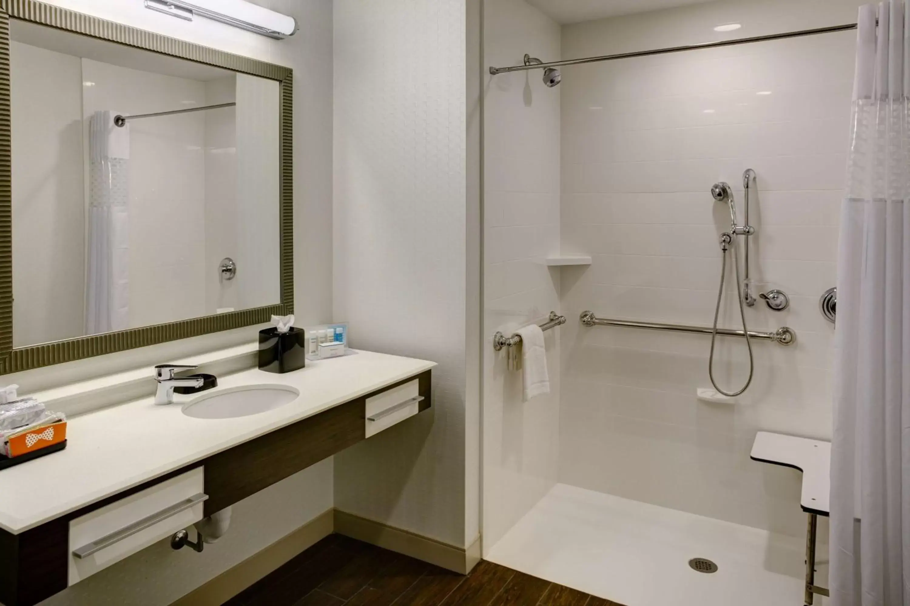 Bathroom in Hampton Inn and Suites by Hilton Vero Beach-Downtown