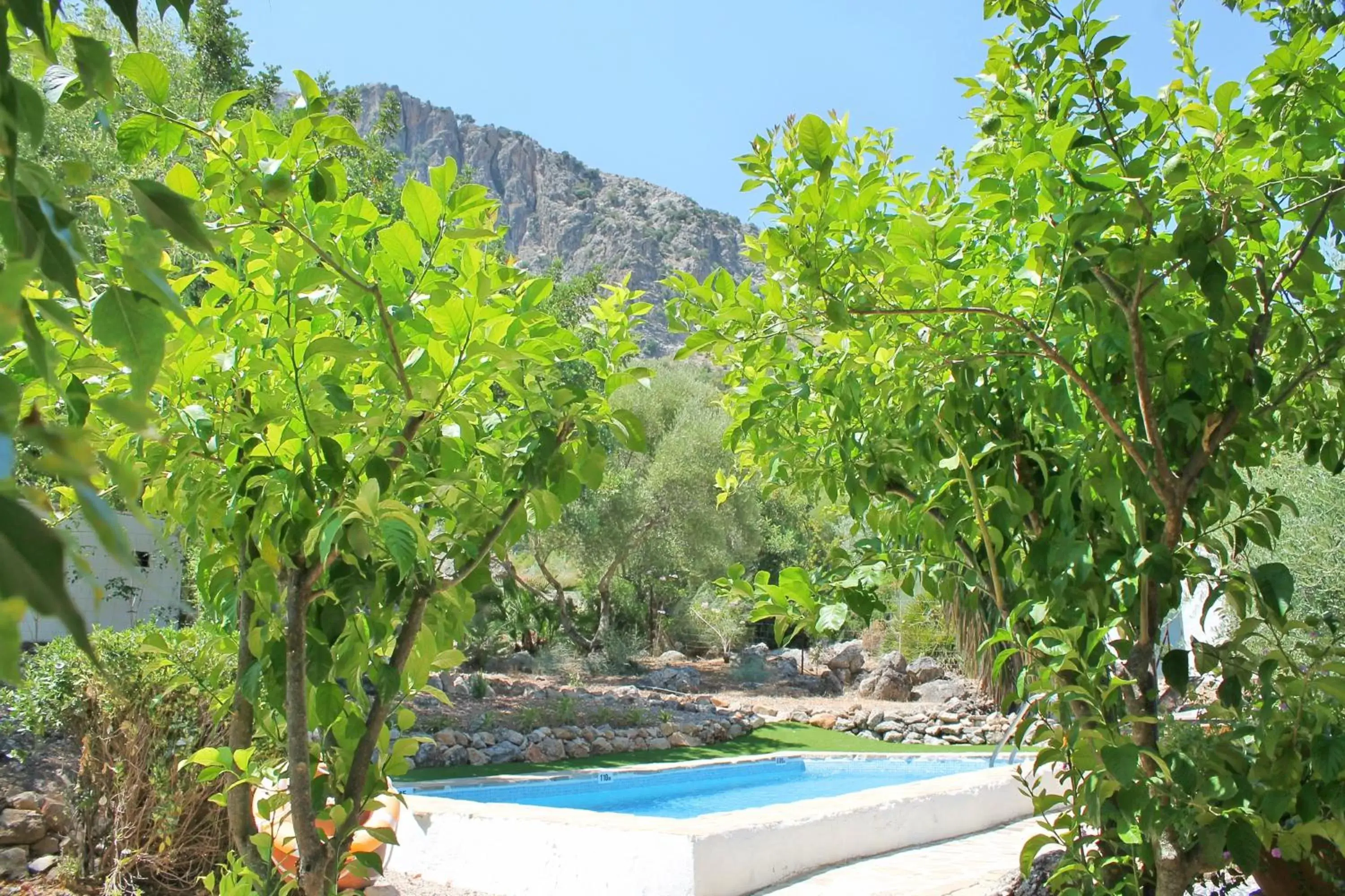 Pool view, Swimming Pool in Casas Rurales Los Algarrobales