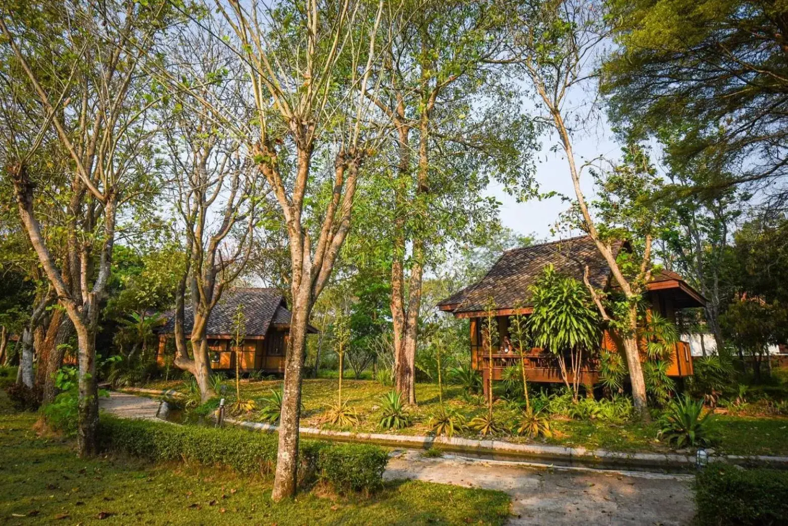 Garden in Baan Krating Pai Resort - SHA Plus