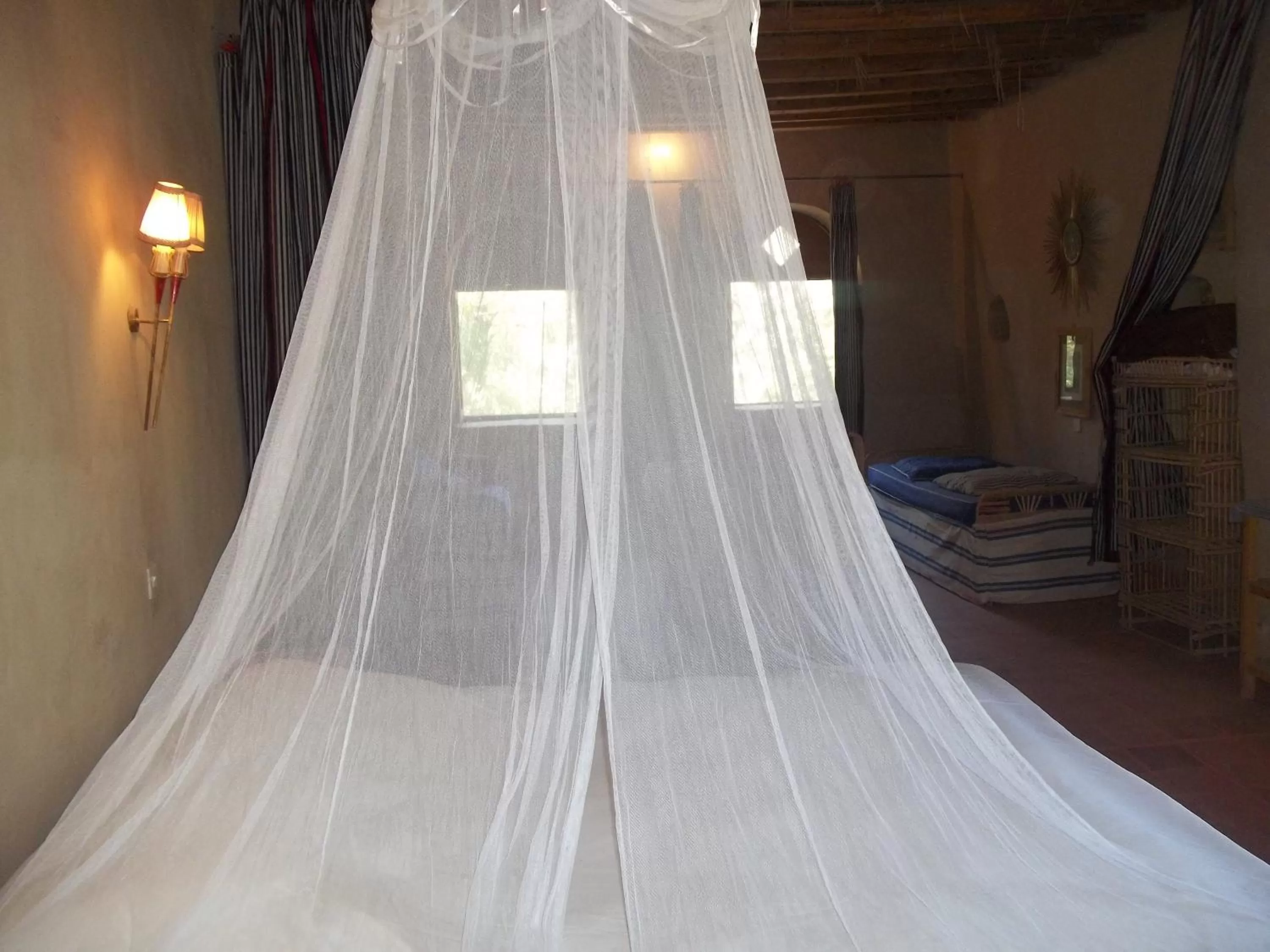 Photo of the whole room in Nour El Balad