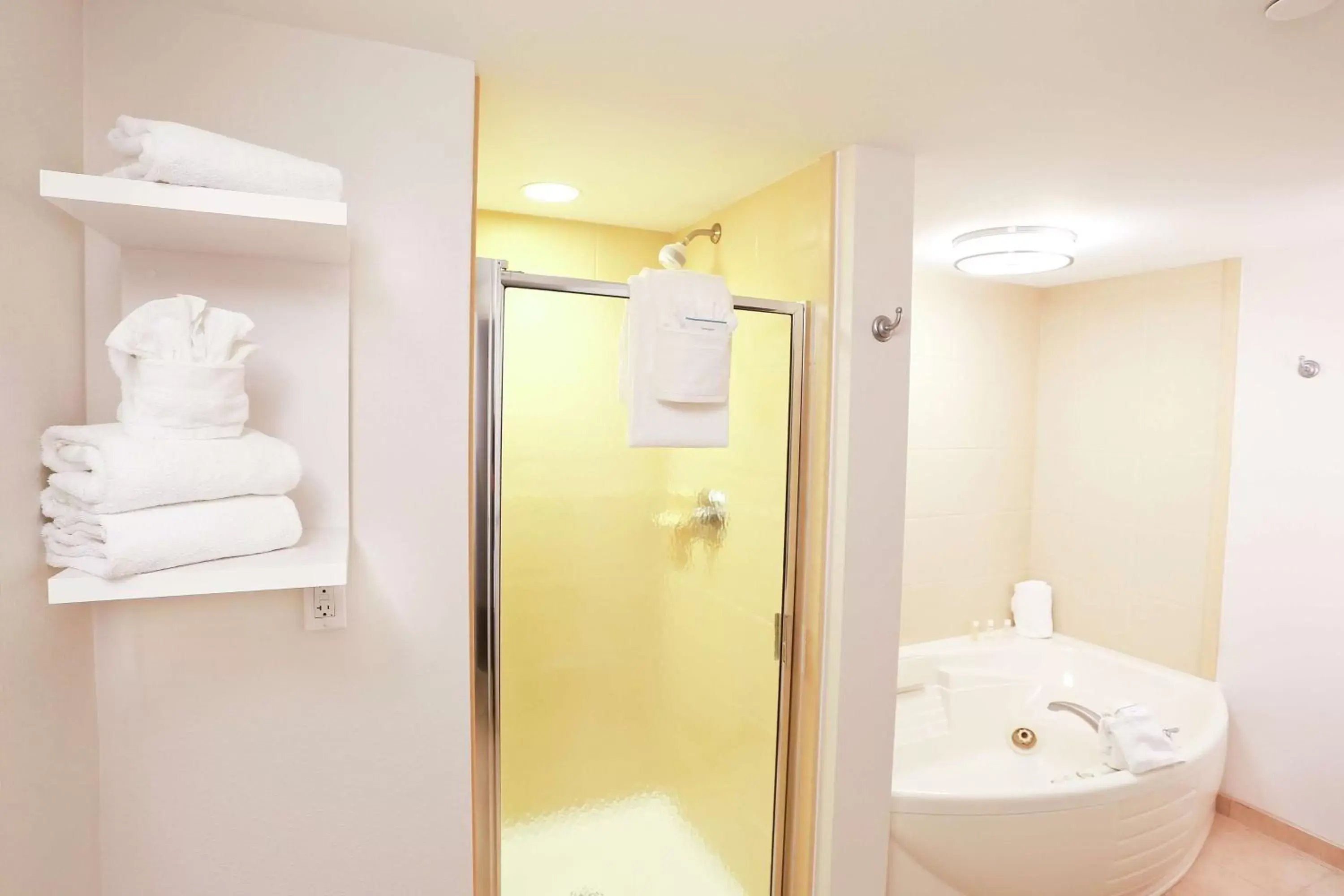 Bathroom in Hampton Inn & Suites Tampa-Wesley Chapel