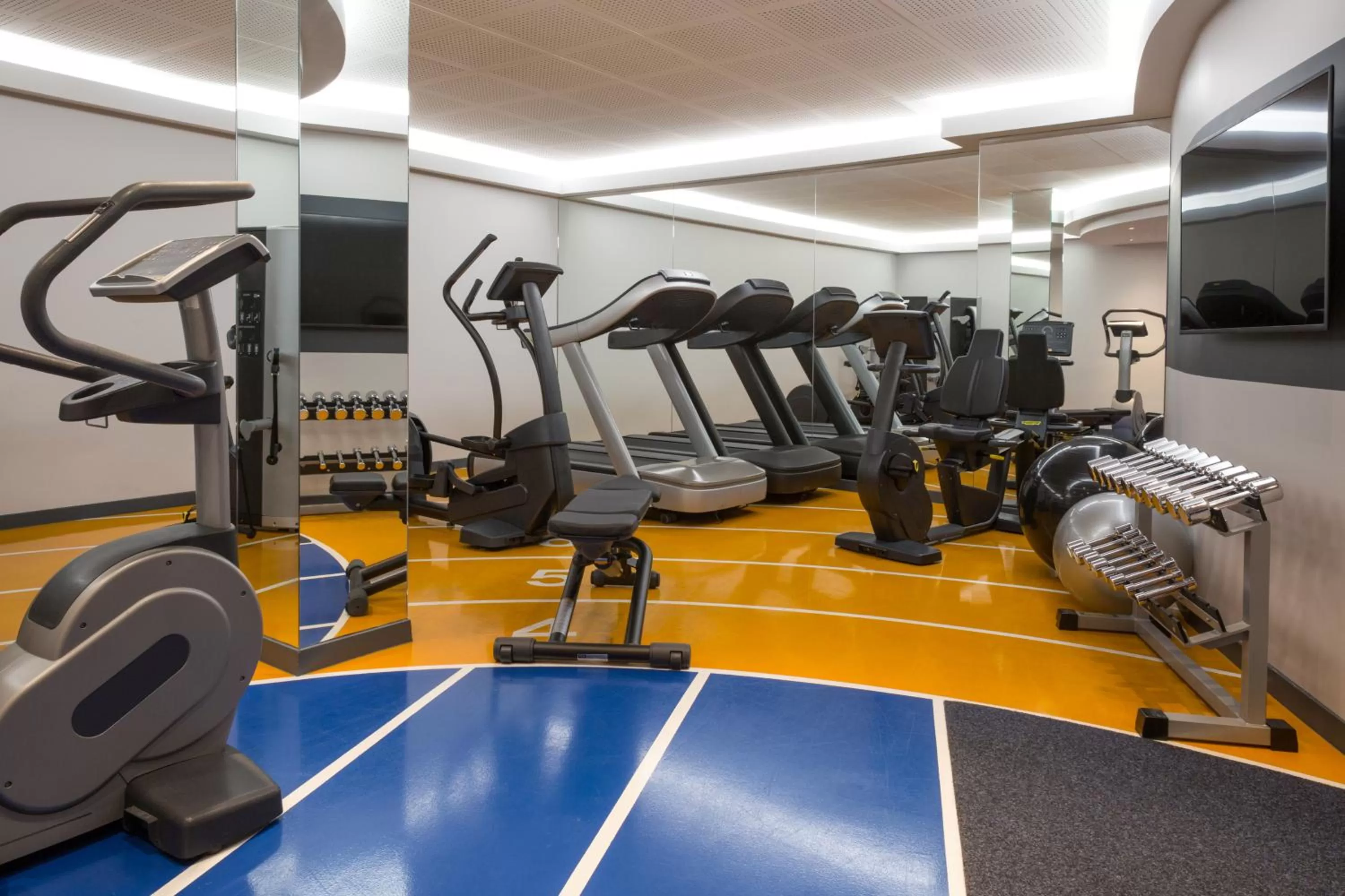 Fitness centre/facilities in Novotel Genève Centre