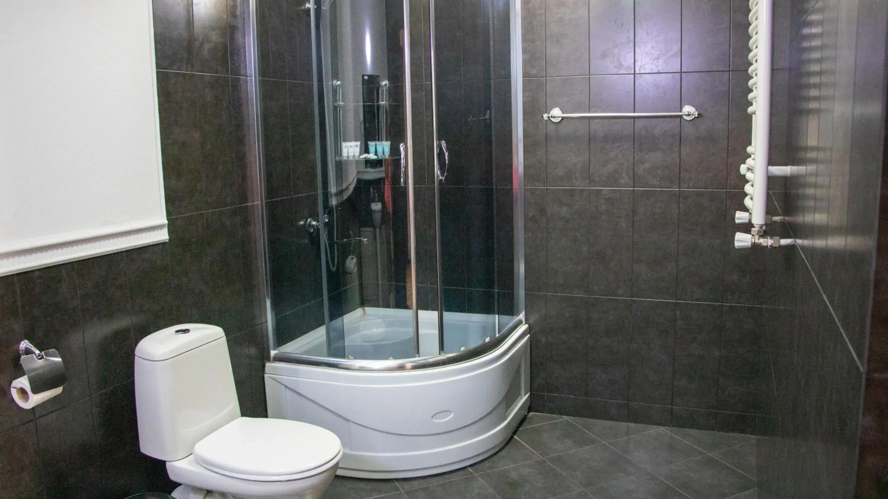 Shower, Bathroom in Hotel New Metekhi