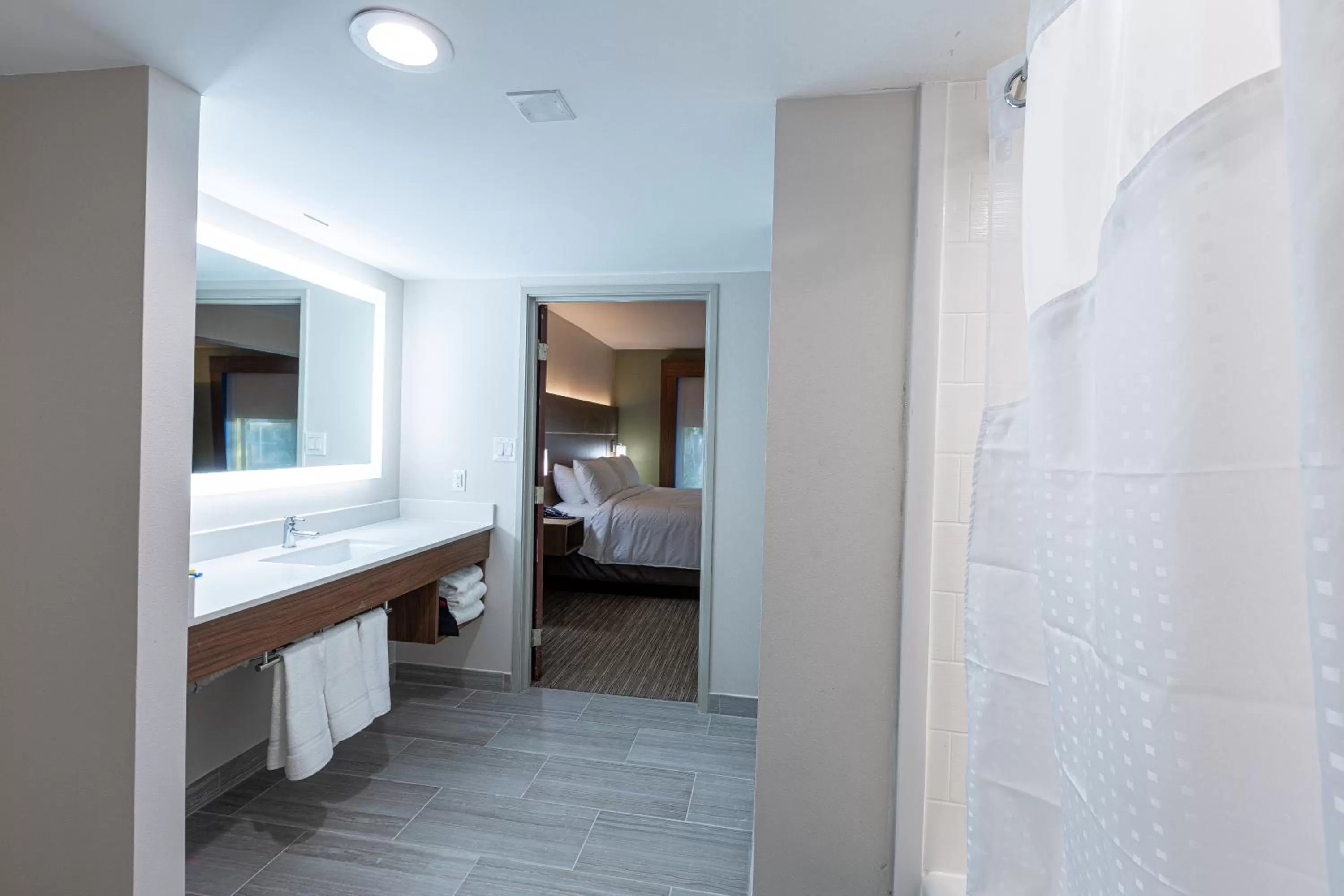 Bathroom, Bed in Holiday Inn Express & Suites Arlington North – Stadium Area by IHG