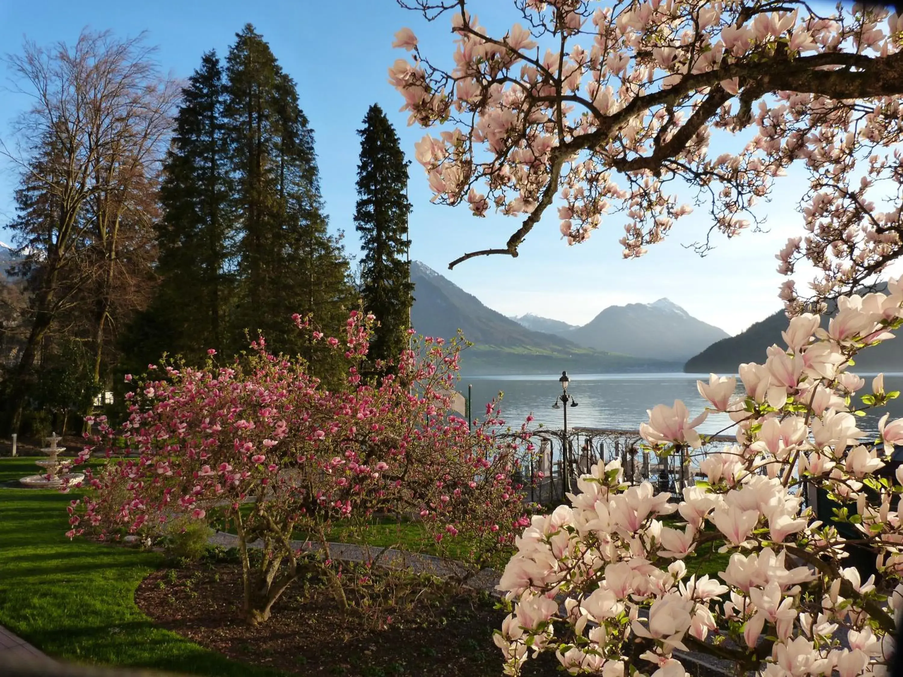 Lake view in Hotel Vitznauerhof