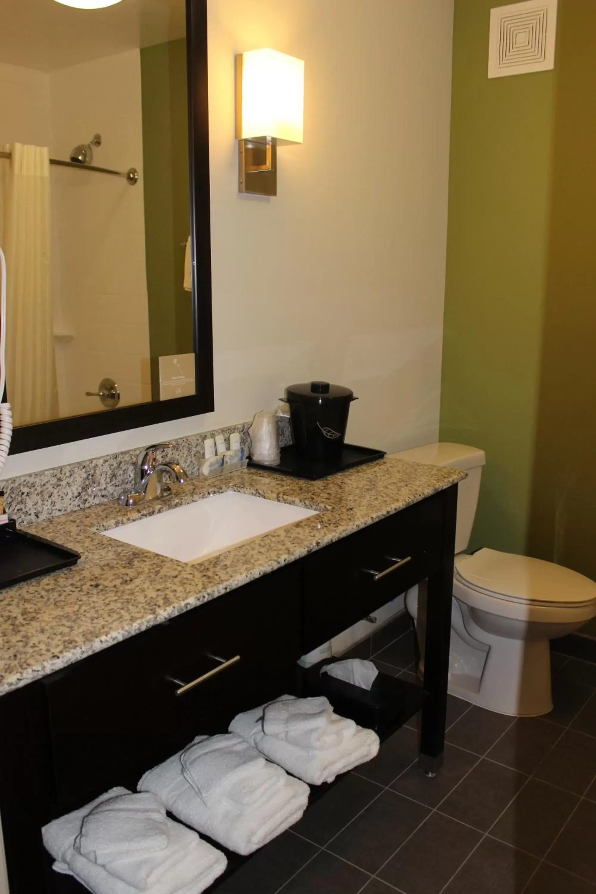 Bathroom in Sleep Inn & Suites