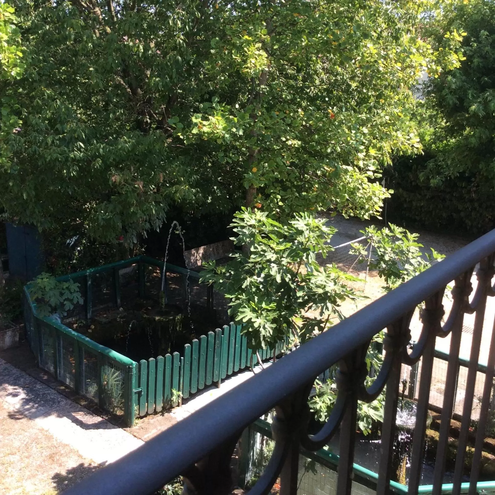 Balcony/Terrace in Hotel Pizzeria Ristorante "Al Leone"