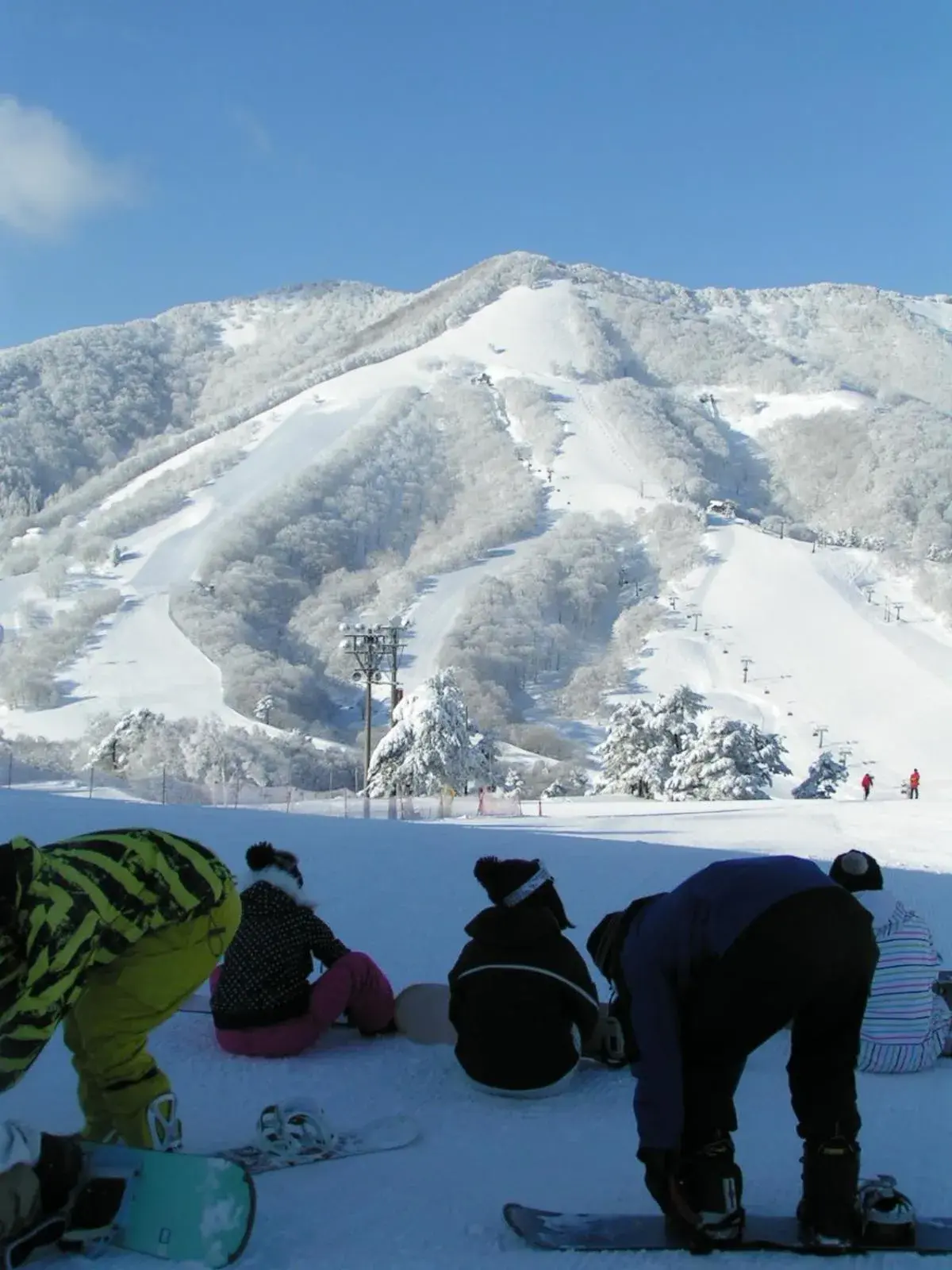 Winter in Madarao Elm Pension