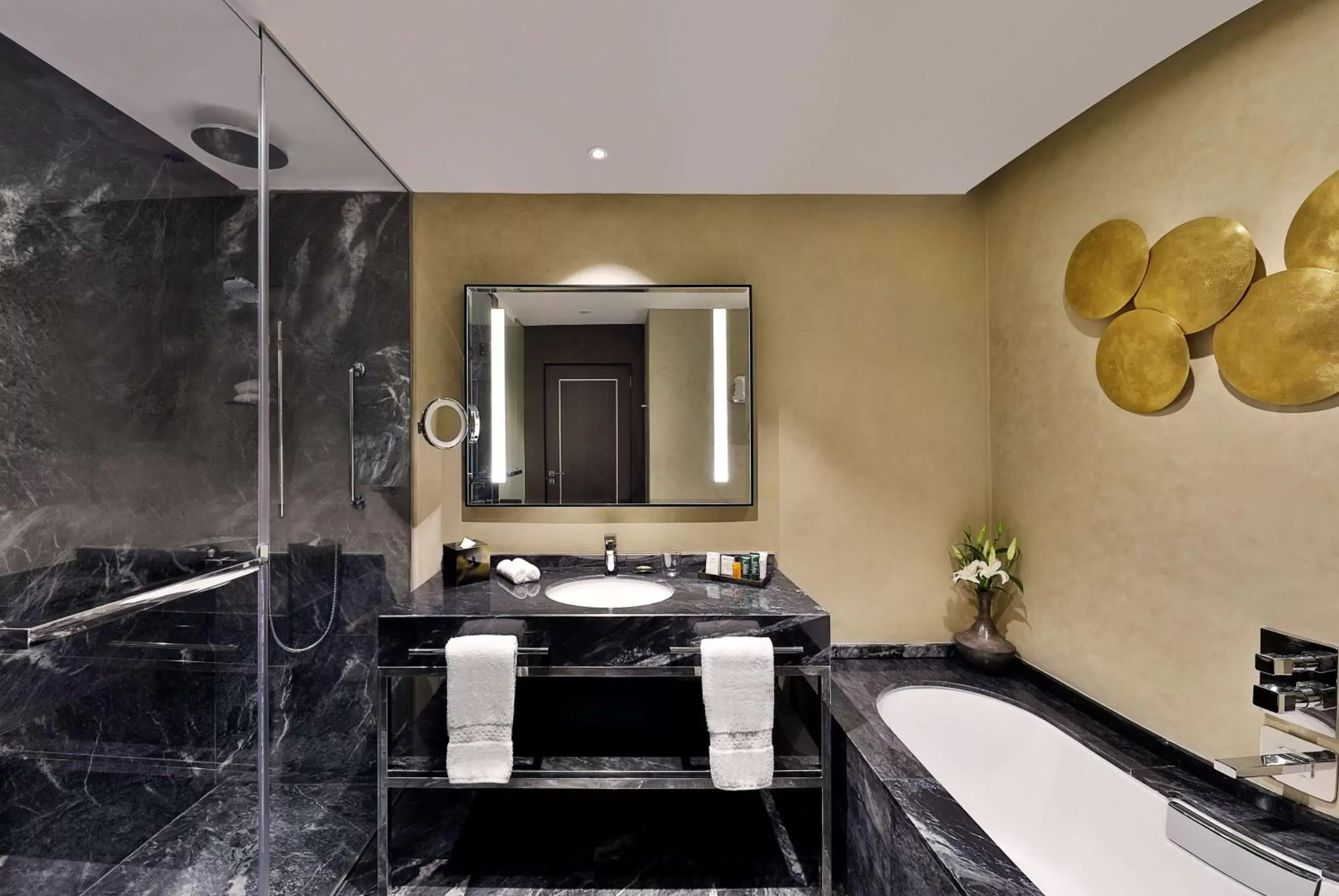 Bathroom in Hilton Tanger City Center Hotel & Residences