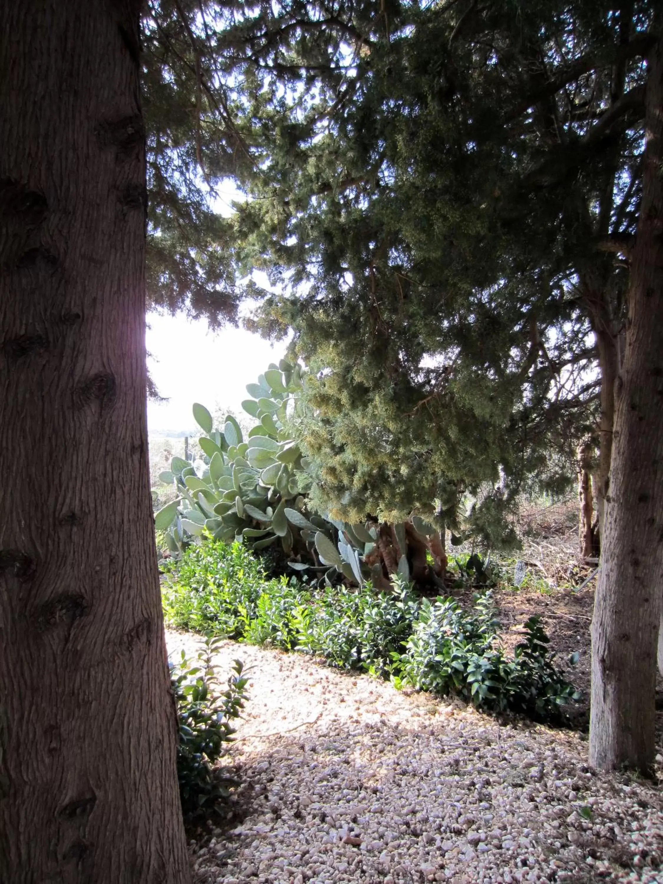 Facade/entrance in Xanadu - Villa Giardinata