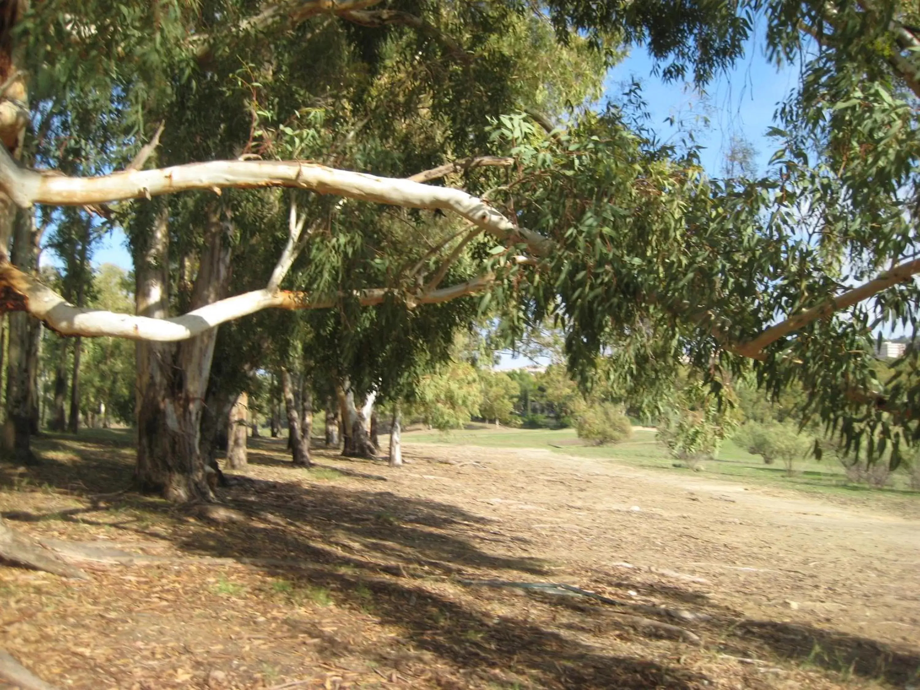 Natural landscape in Oasi del Lago