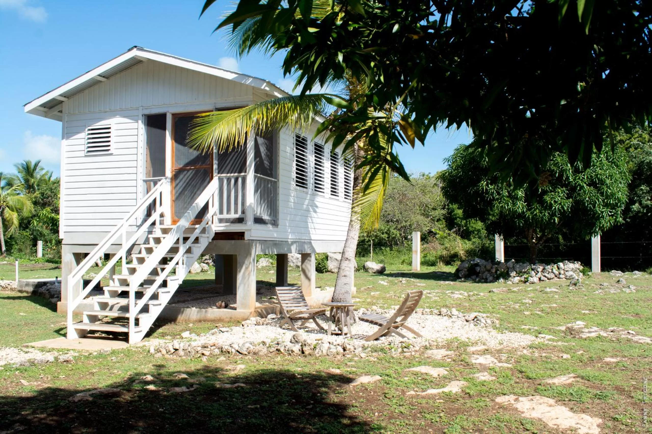 Property building in Horse Cottage