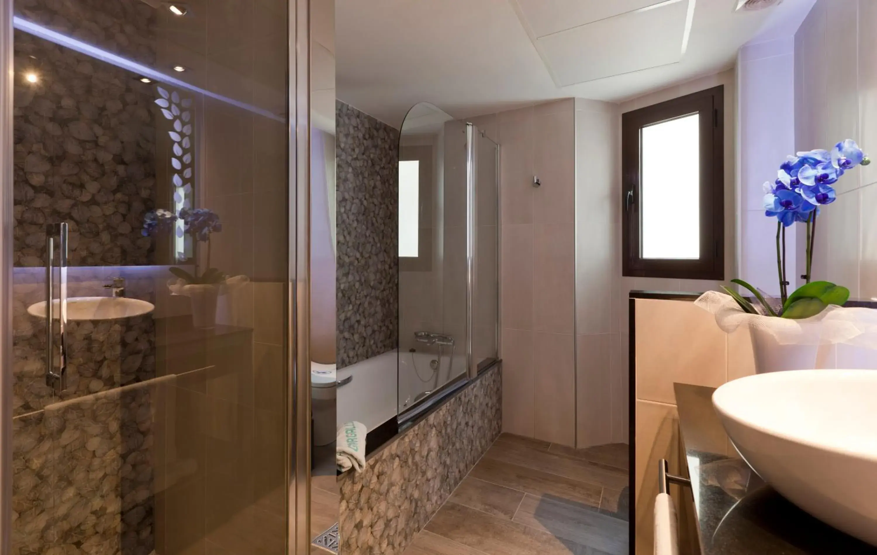 Shower, Bathroom in Reina Cristina