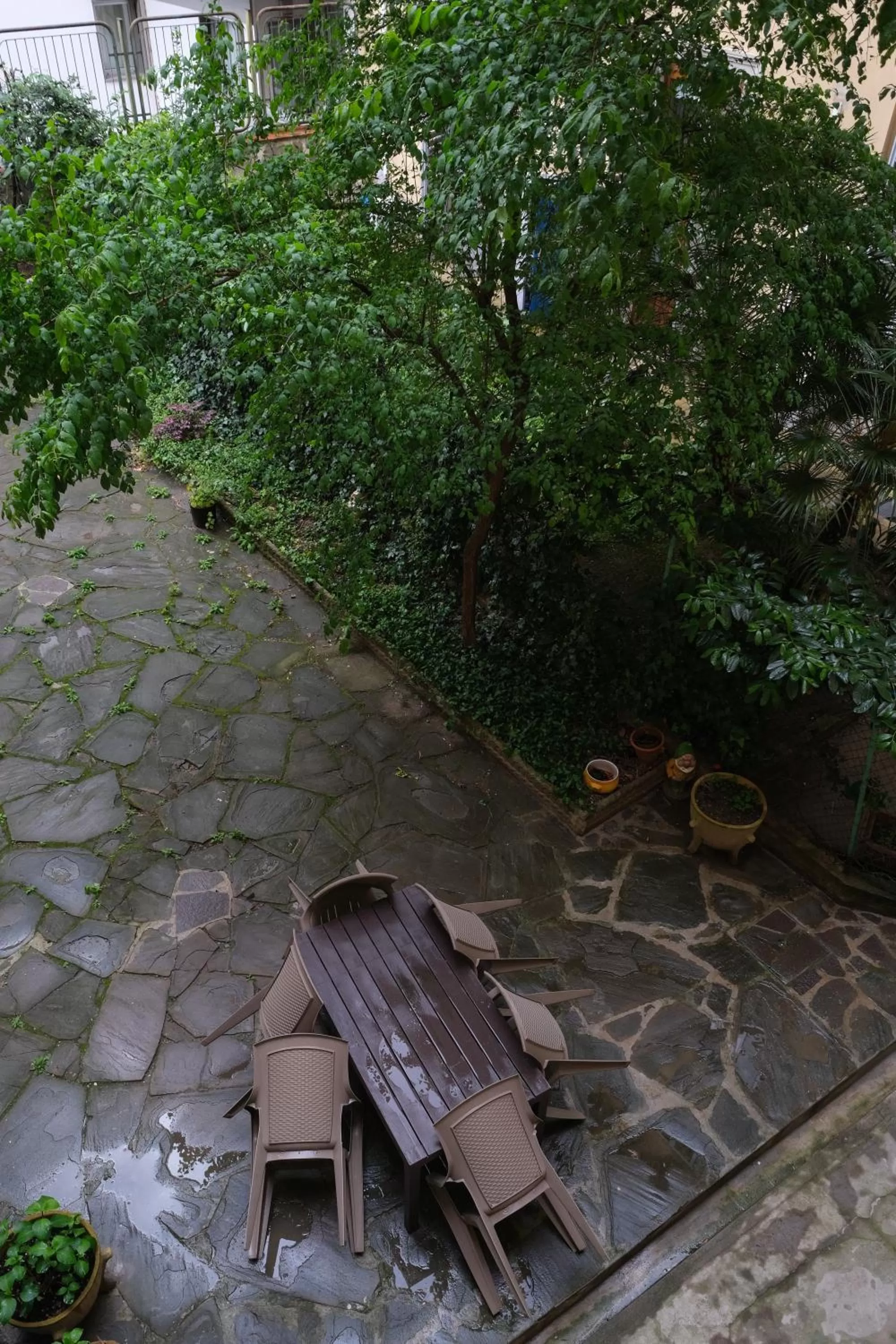 Garden view in B&B Kingsman