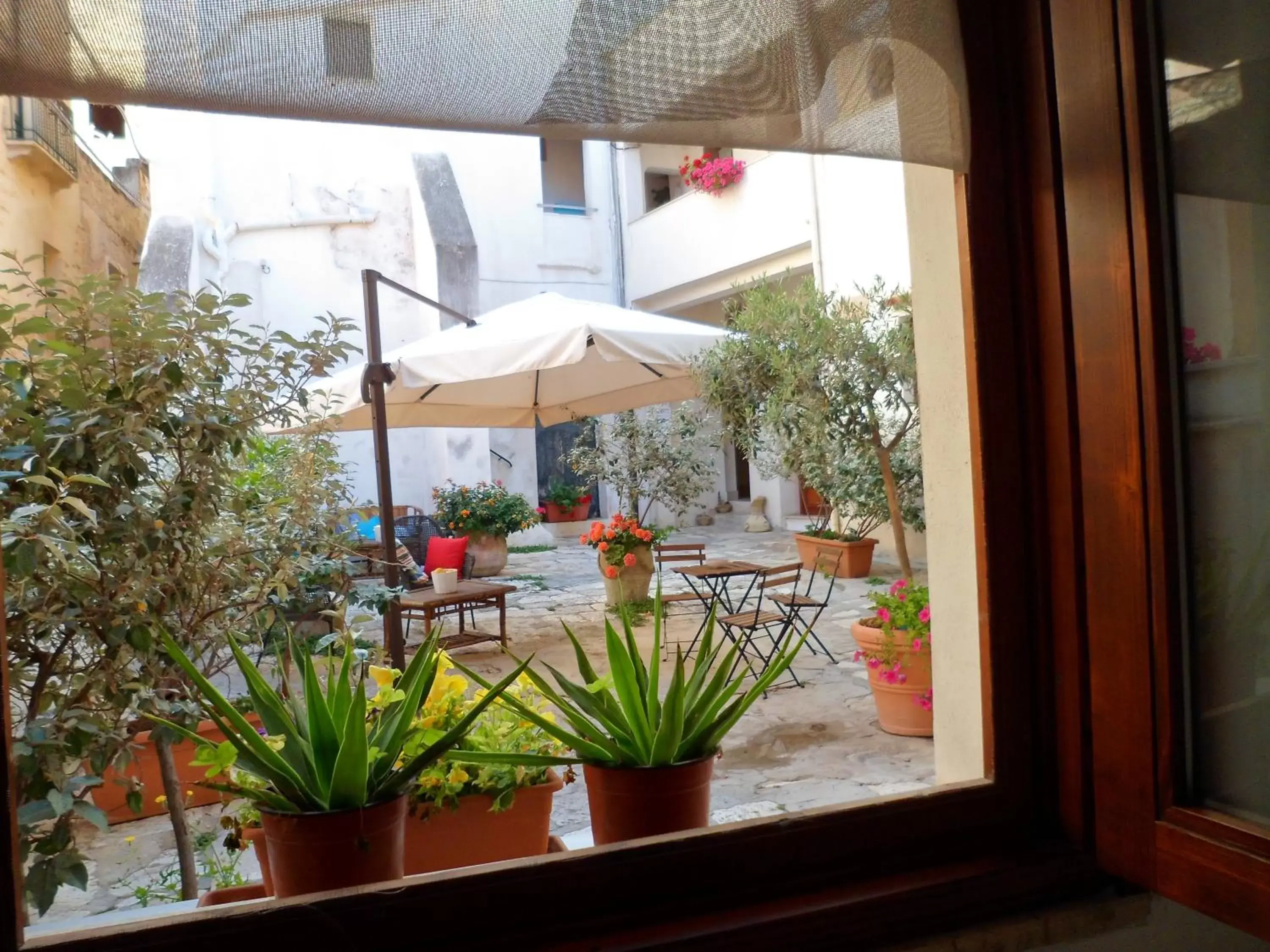 Garden in Cortile Antico