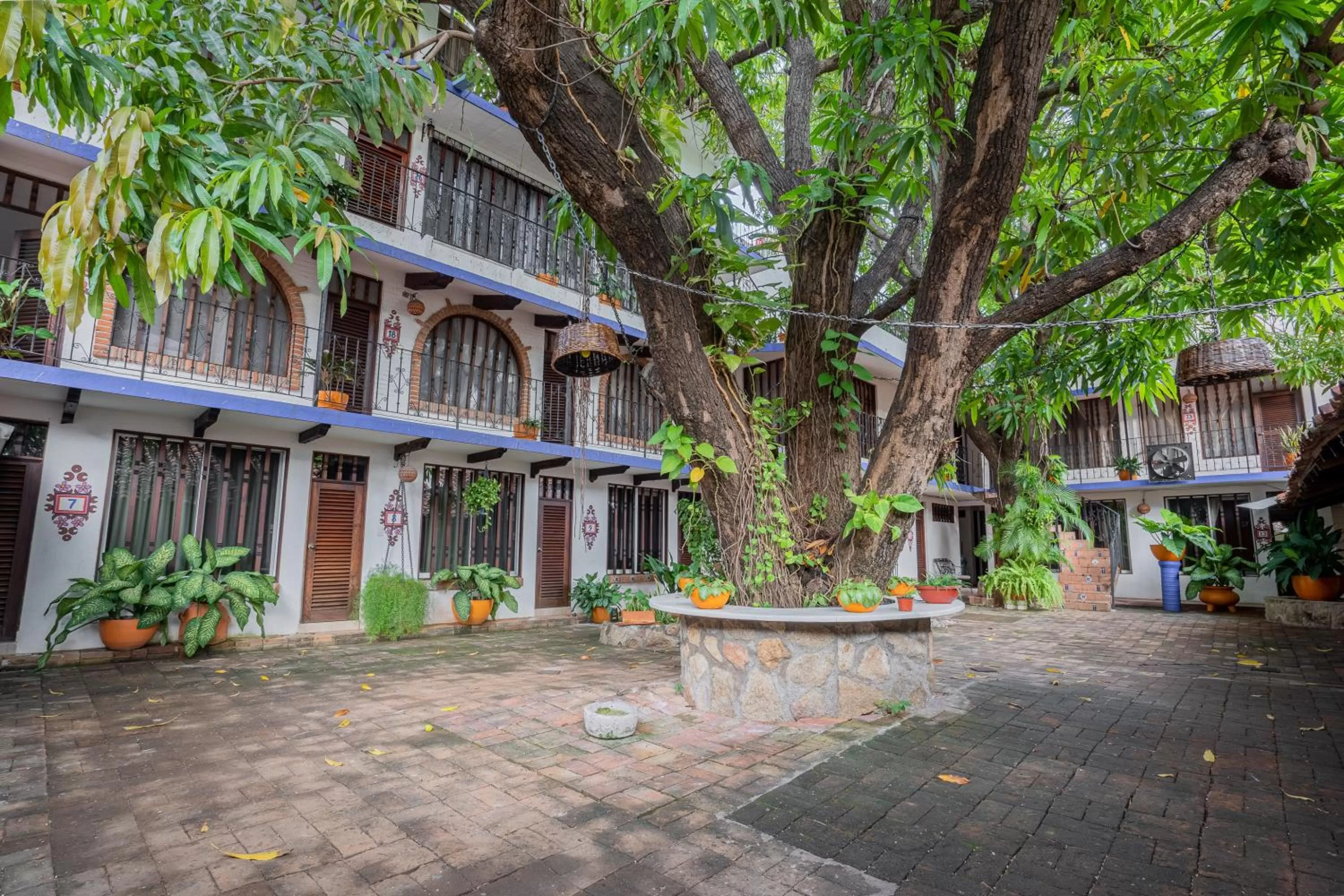 Area and facilities in Hotel Mision, Acapulco centro