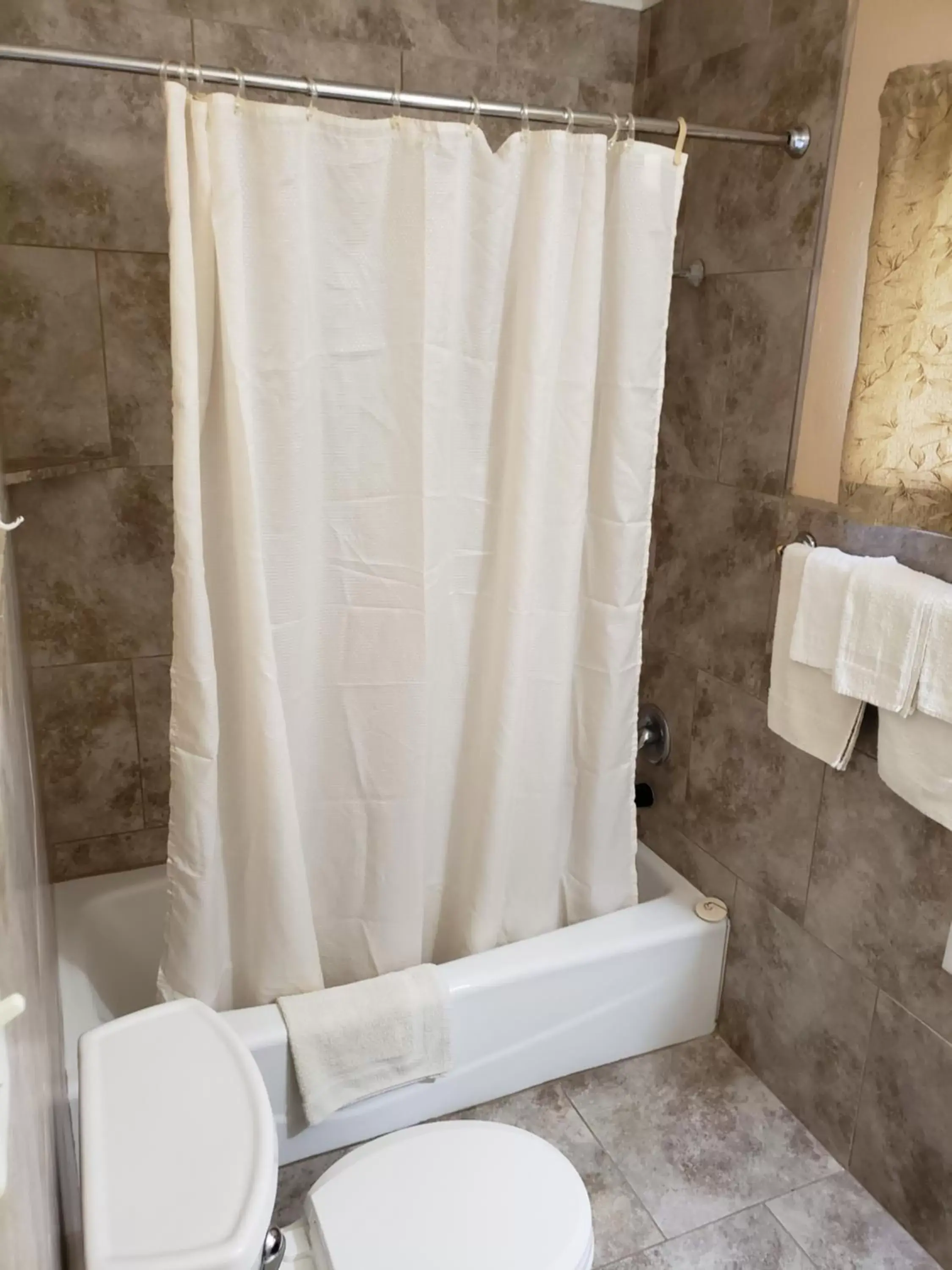 Shower, Bathroom in Encino Motel