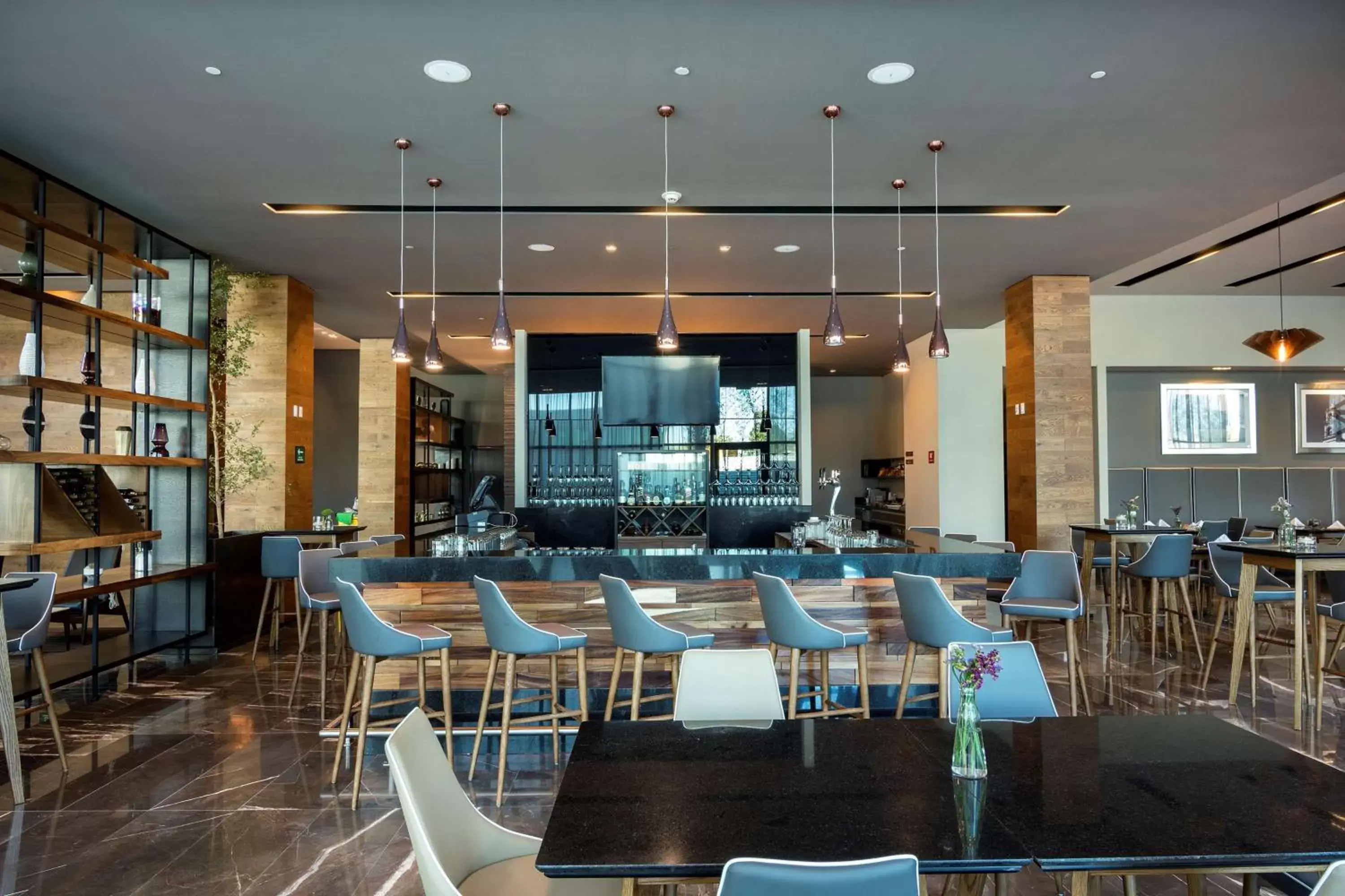 Lounge or bar, Restaurant/Places to Eat in Hilton Garden Inn Aguascalientes