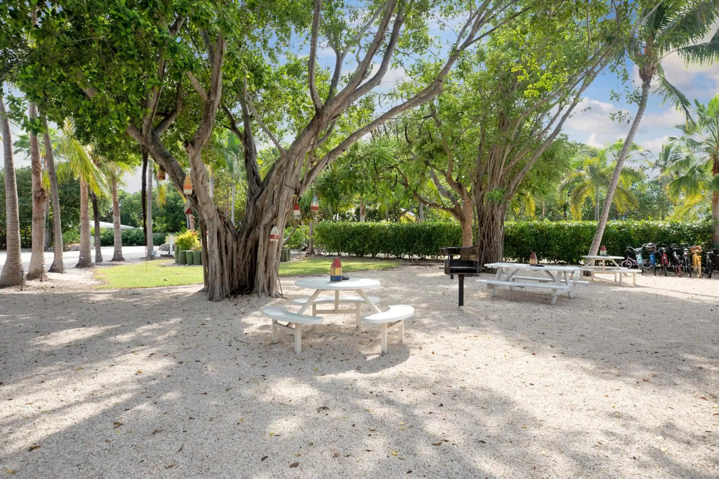 Natural landscape in Atlantic Bay Resort