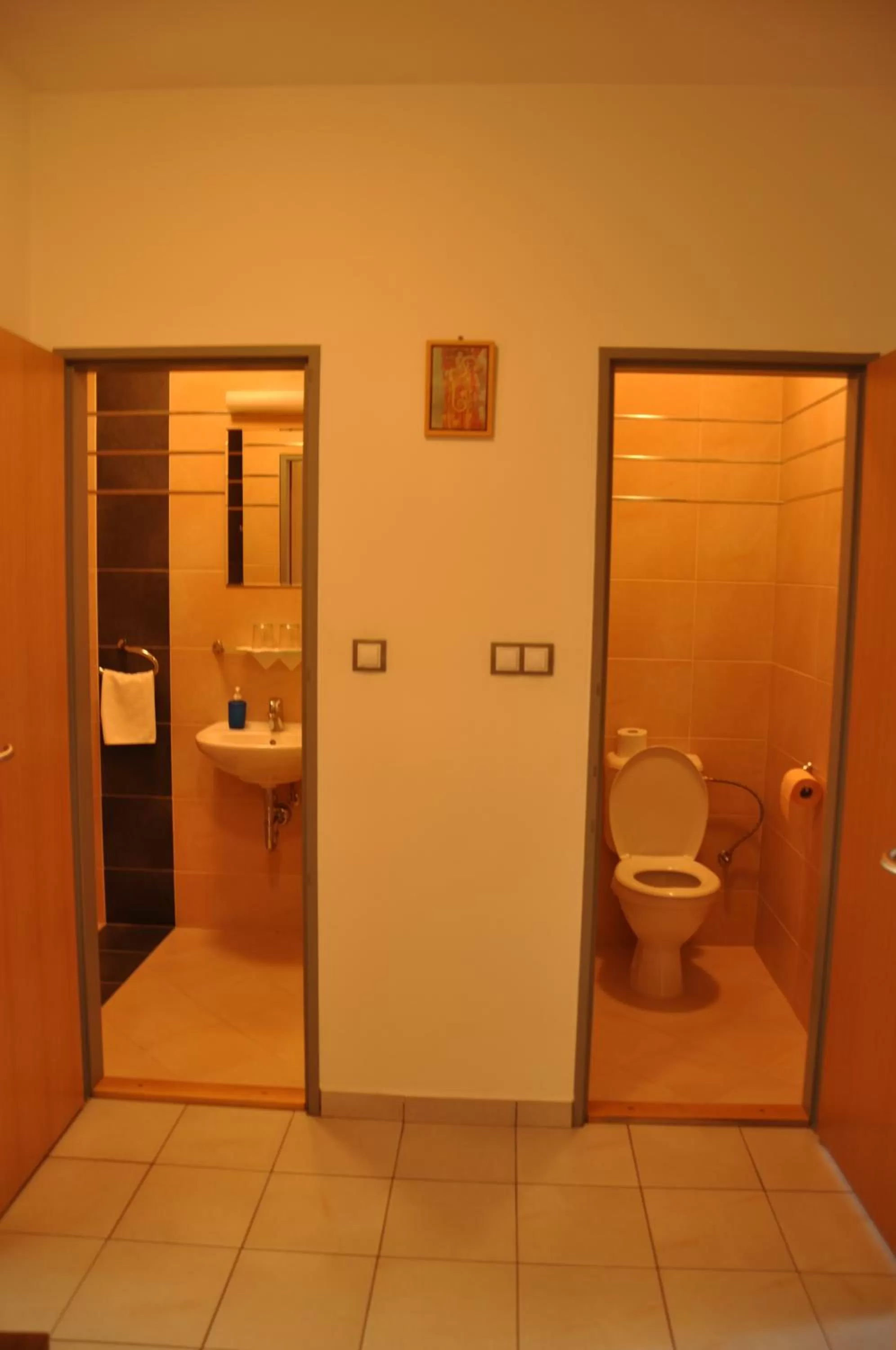Toilet in Hotel Lions Plzen