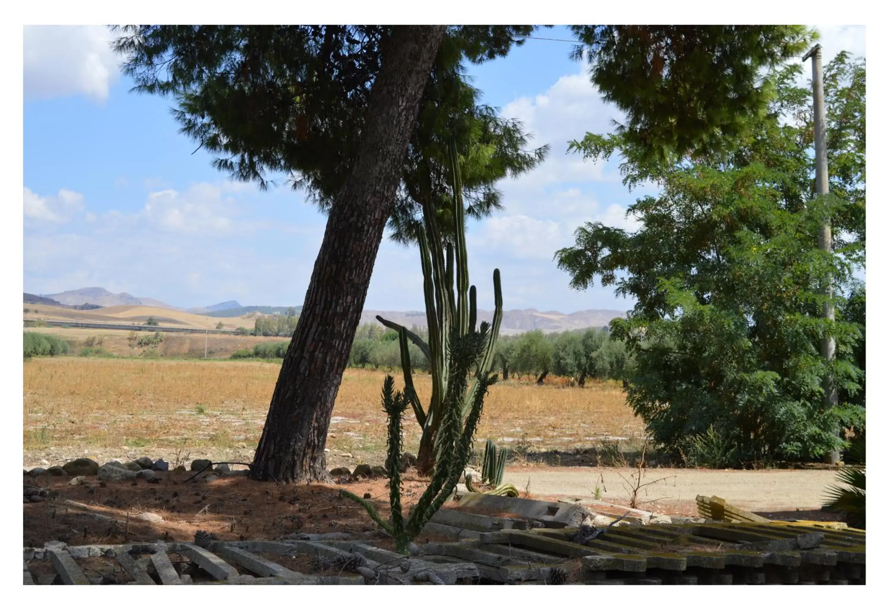 View (from property/room), Garden in B&B Stazione Dittaino