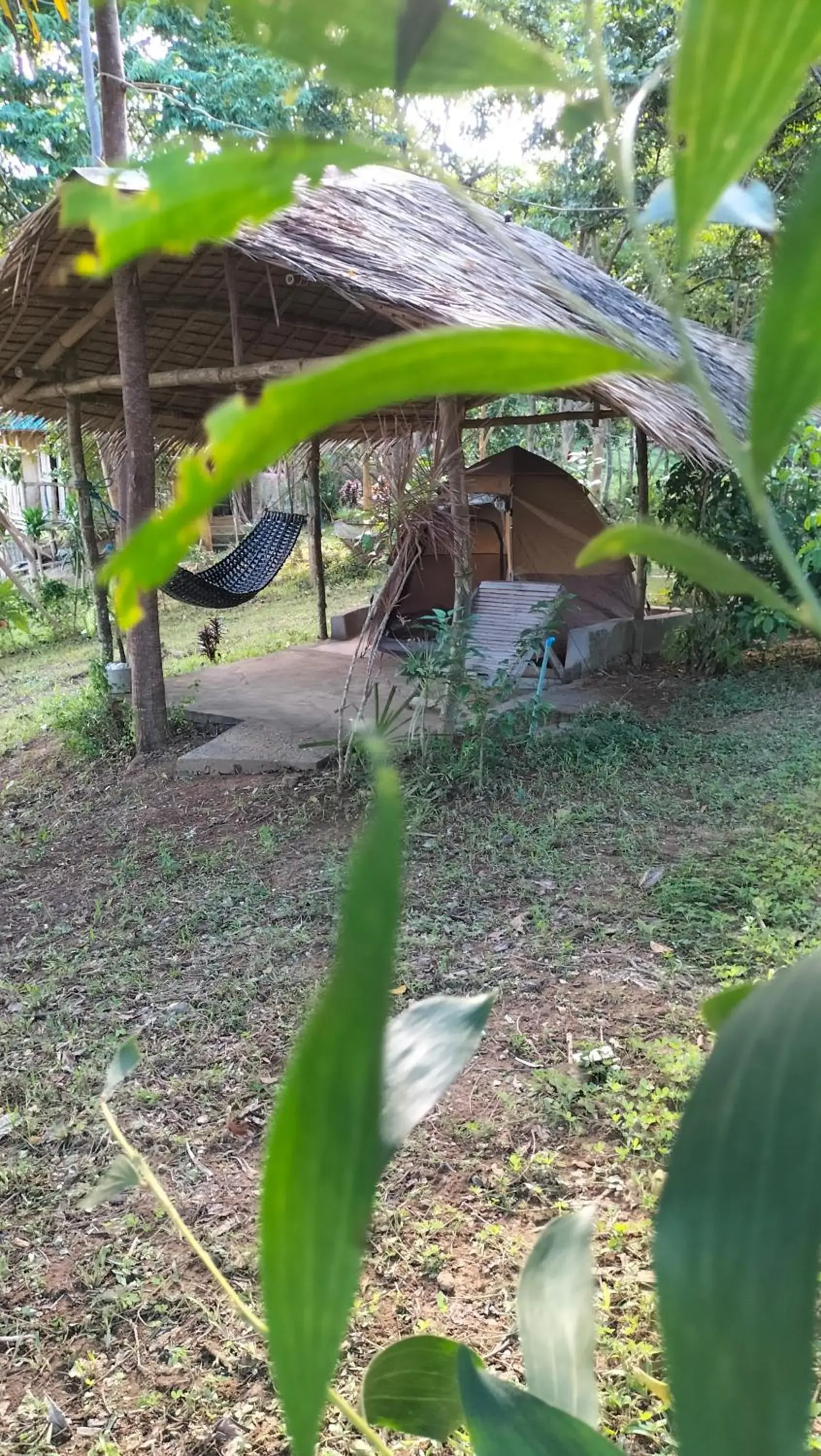 Natural landscape in Erlittop Garden Eco Lodge