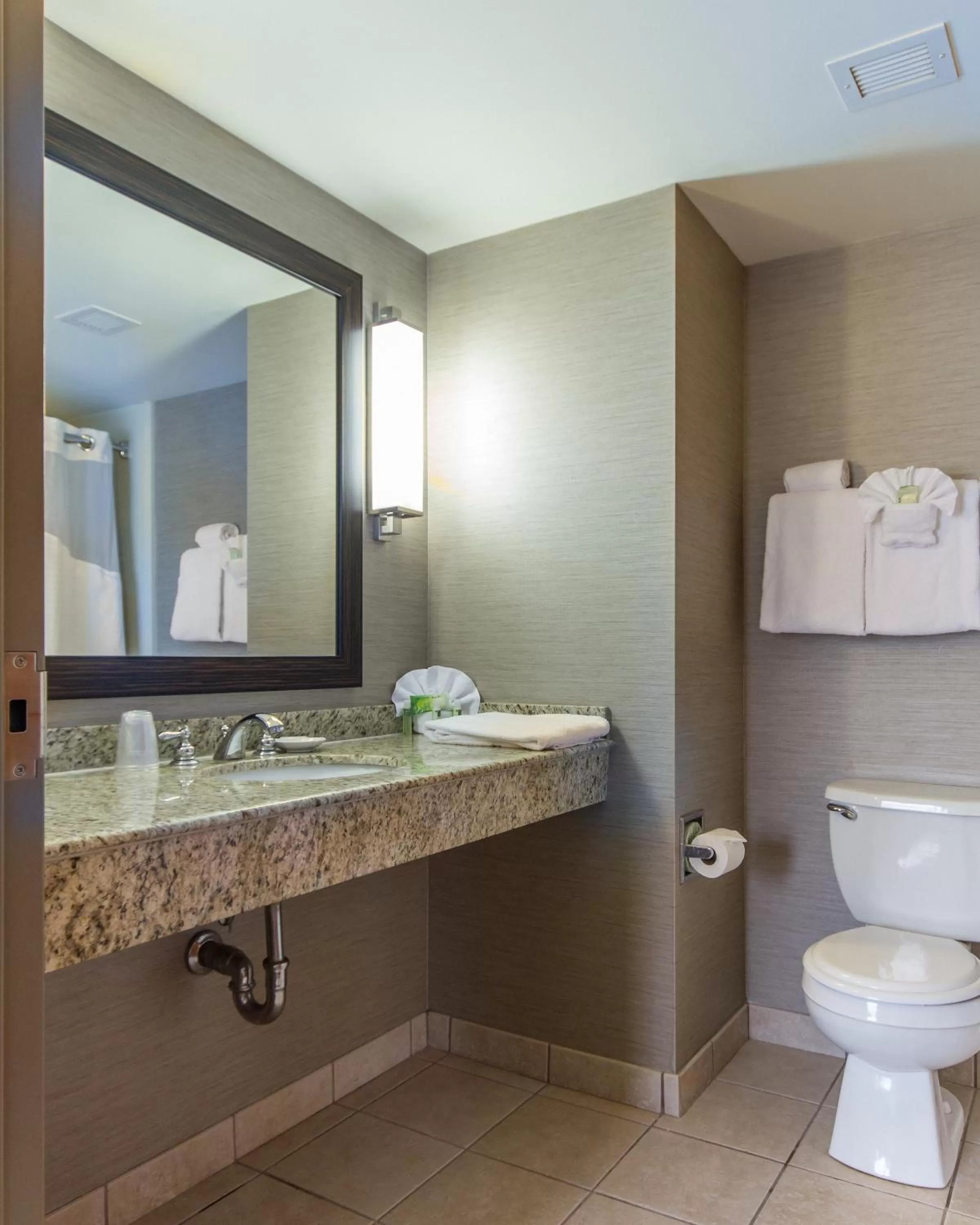 Bathroom in Holiday Inn Express Hotel & Suites Auburn by IHG