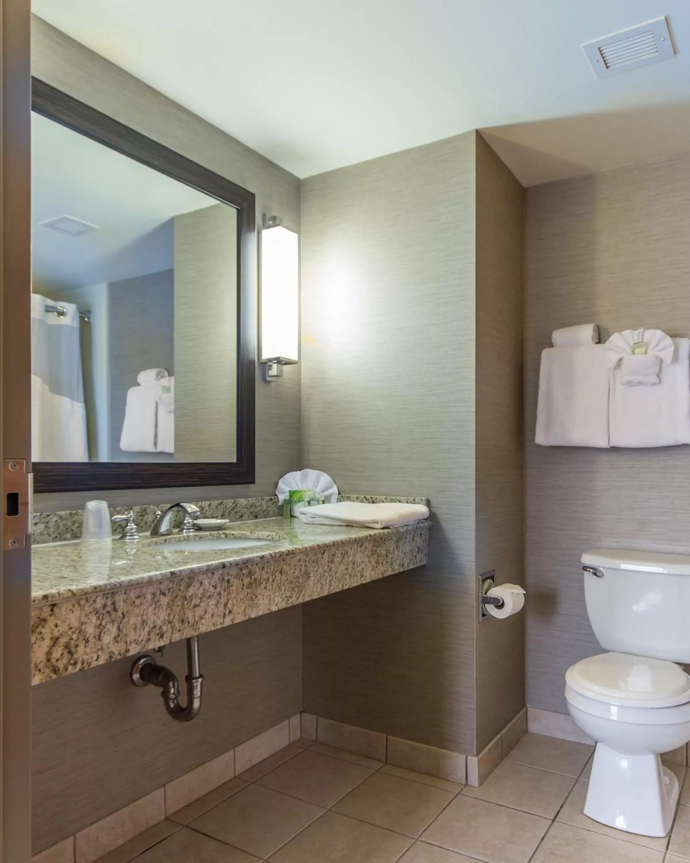 Bathroom in Holiday Inn Express Hotel & Suites Auburn, an IHG Hotel