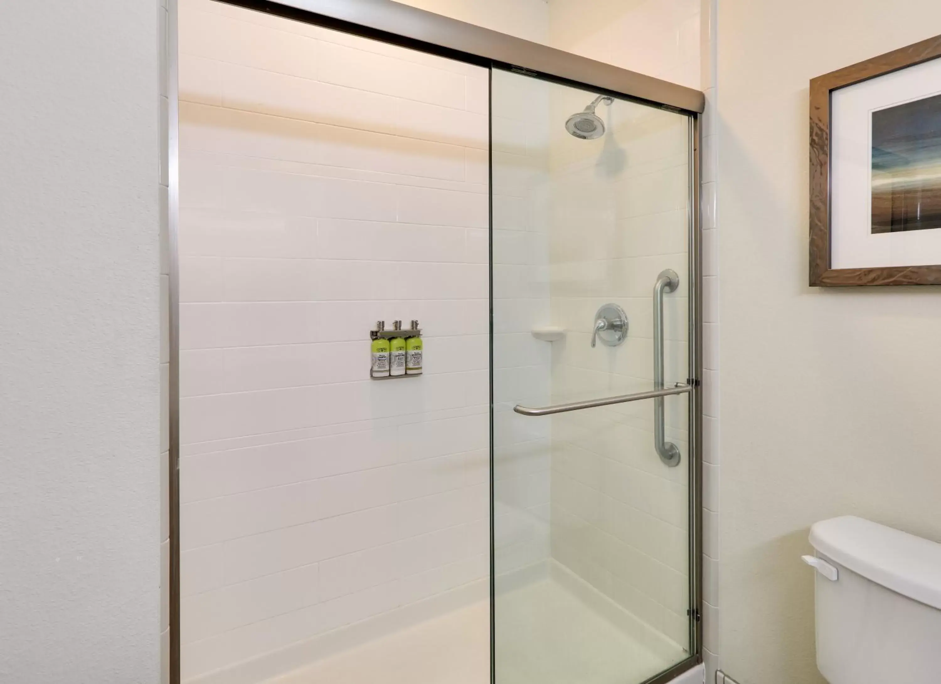 Bathroom in Holiday Inn Express & Suites San Antonio Brooks City Base, an IHG Hotel