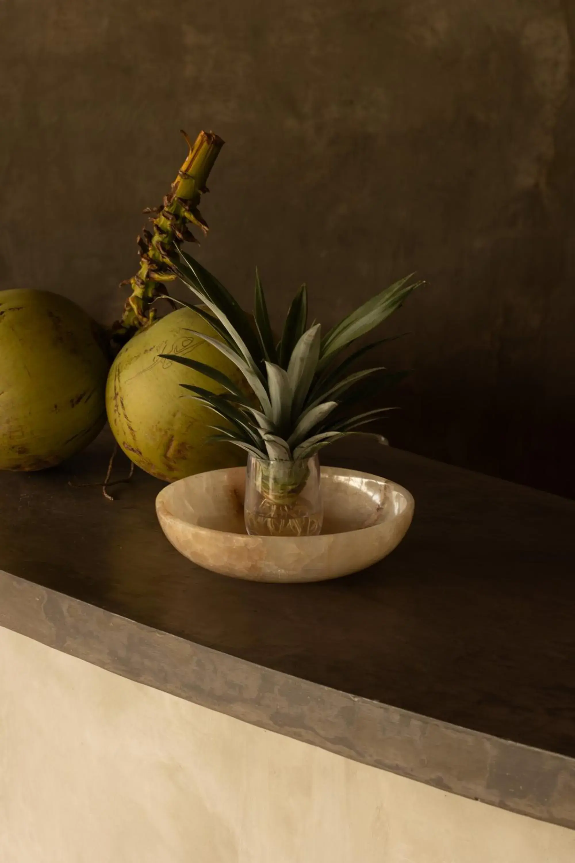 Food and drinks in Menjaga Bay Food and drinks in Menjaga Bay