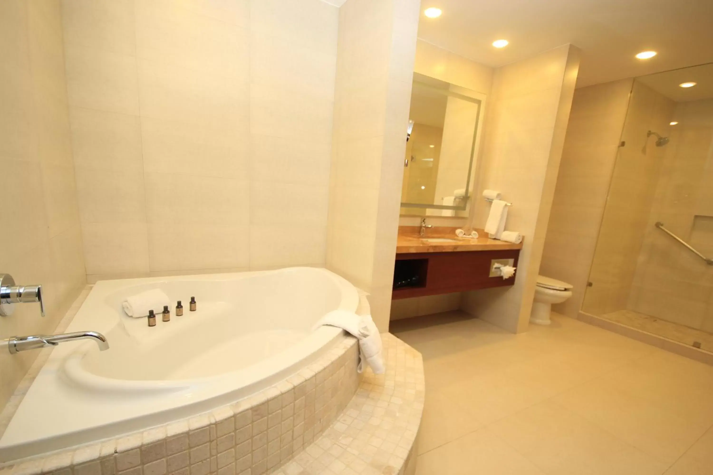 Photo of the whole room, Bathroom in Holiday Inn & Suites Plaza Mayor, an IHG Hotel