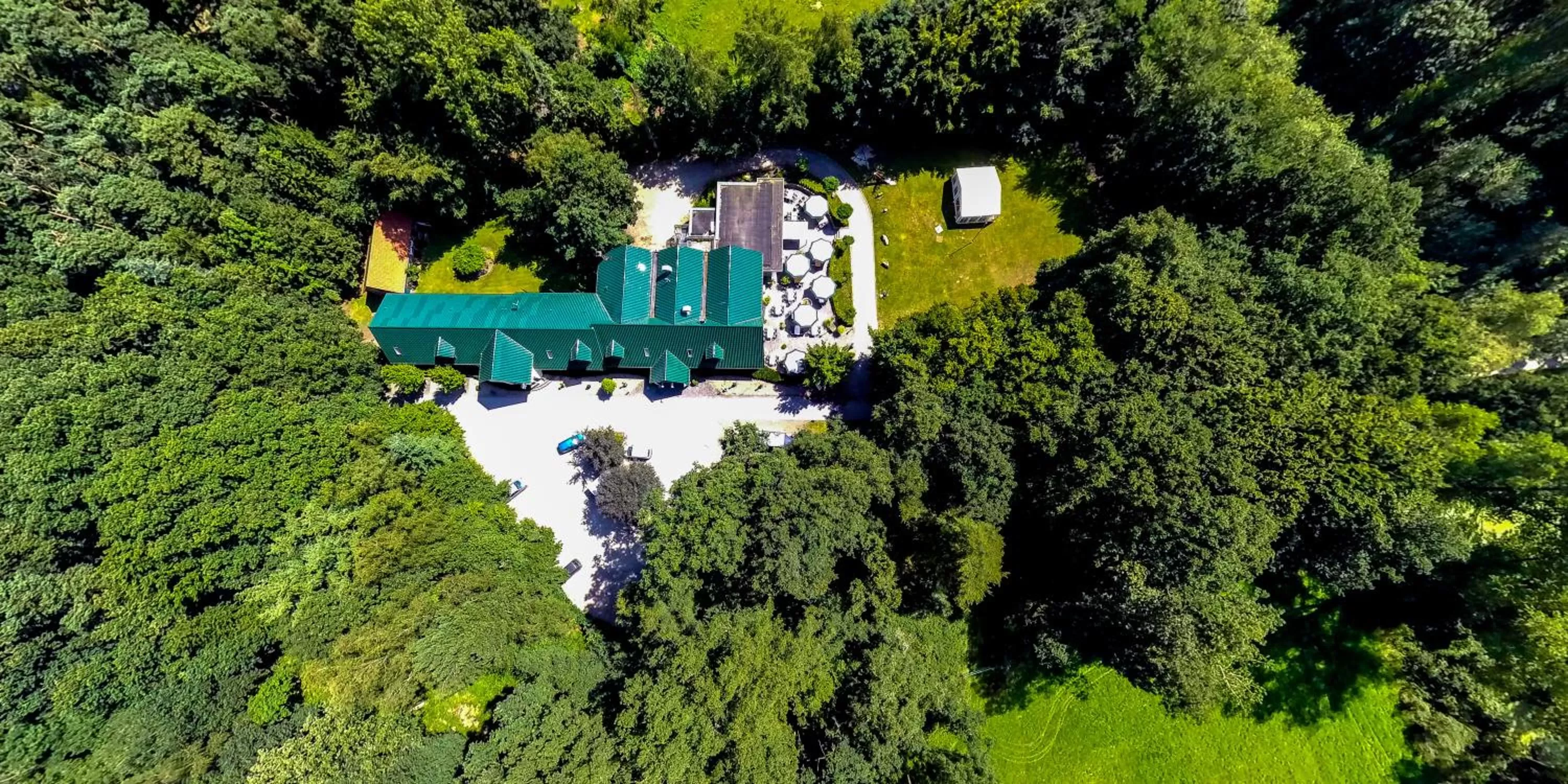 Natural landscape in Waldhotel Schipp-Hummert