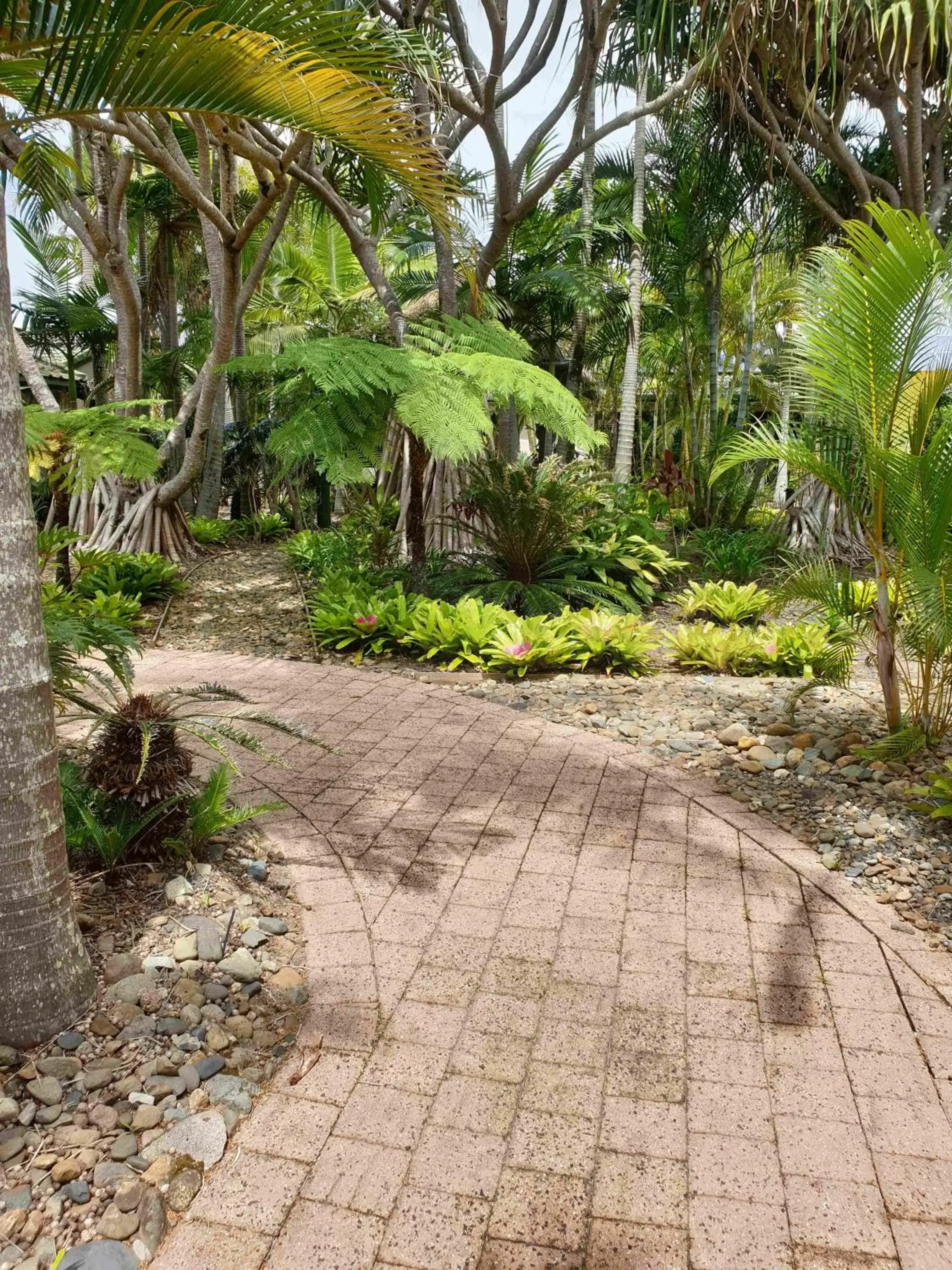 Garden in Ballina Beach Resort