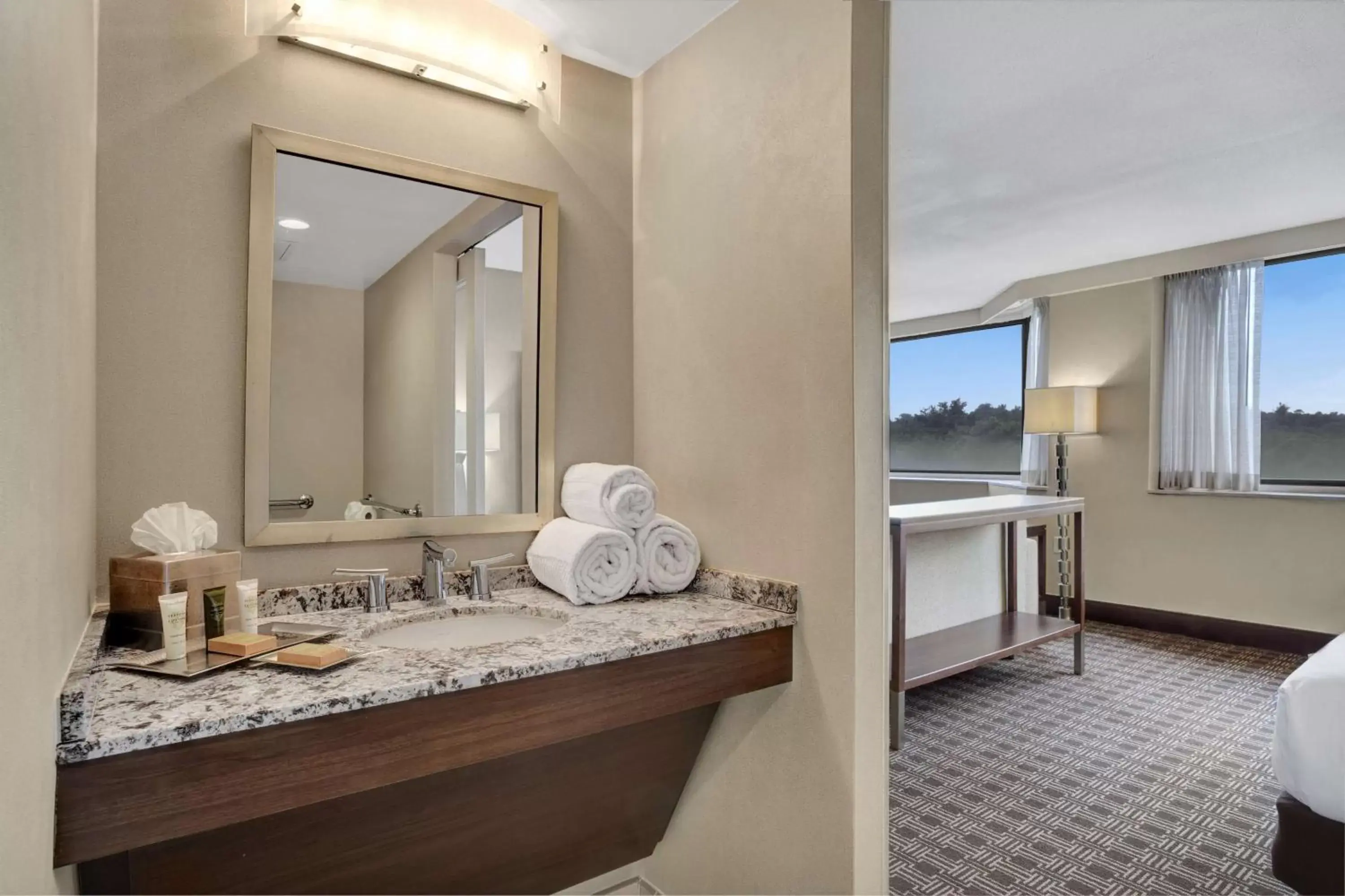 Bathroom in Hilton Arlington National Landing