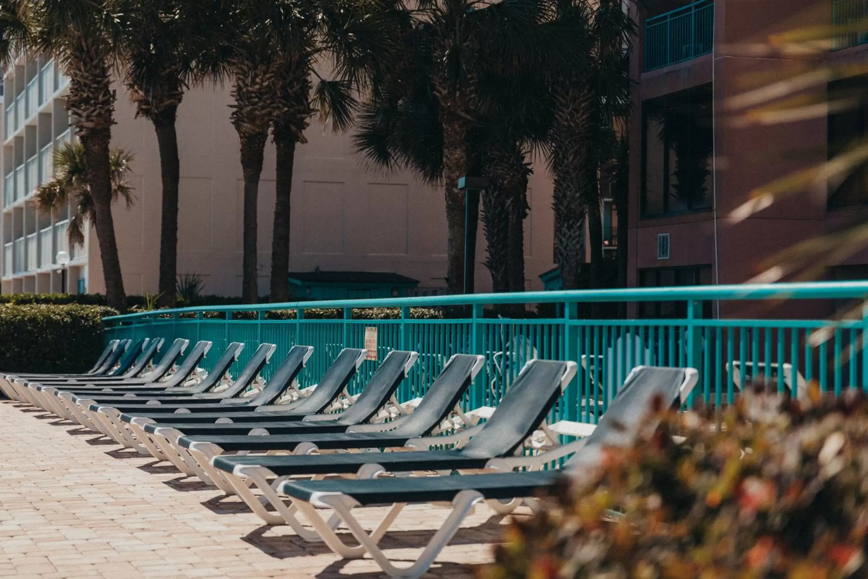 sunbed, Swimming Pool in Sandcastle Oceanfront Resort South Beach