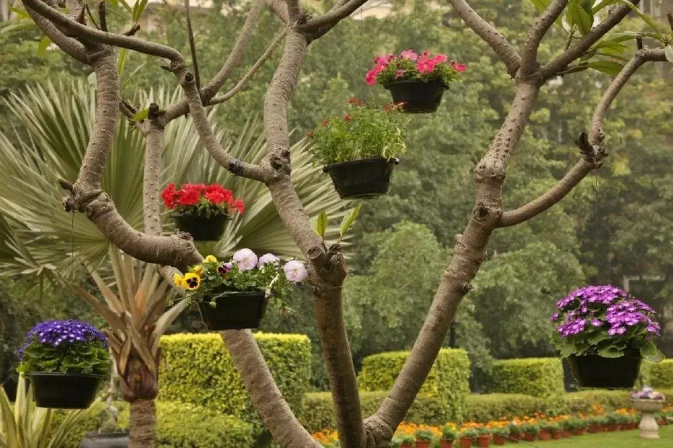 Day, Garden in Taj Palace, New Delhi