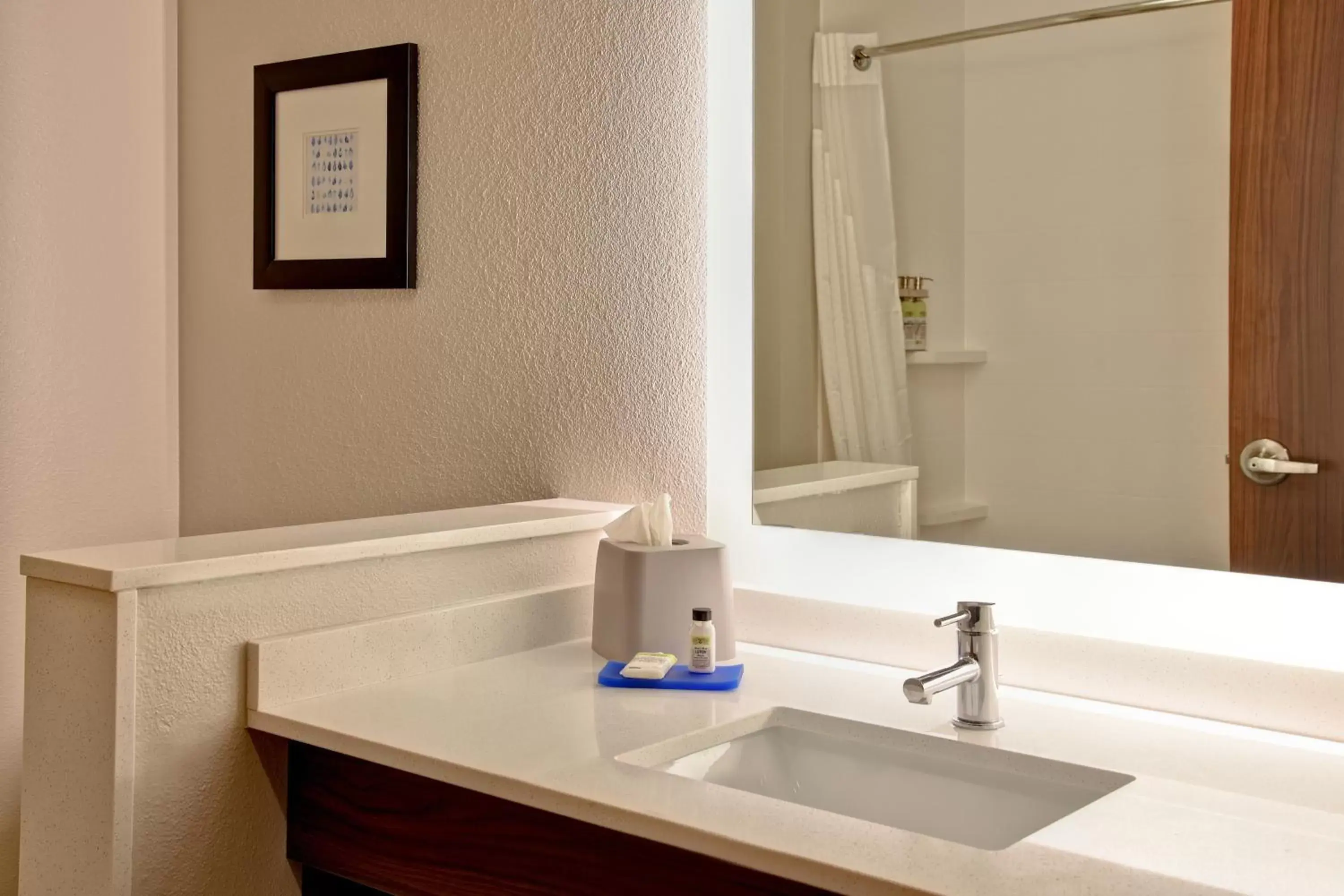 Bathroom in Holiday Inn Express & Suites - Ottawa, an IHG Hotel