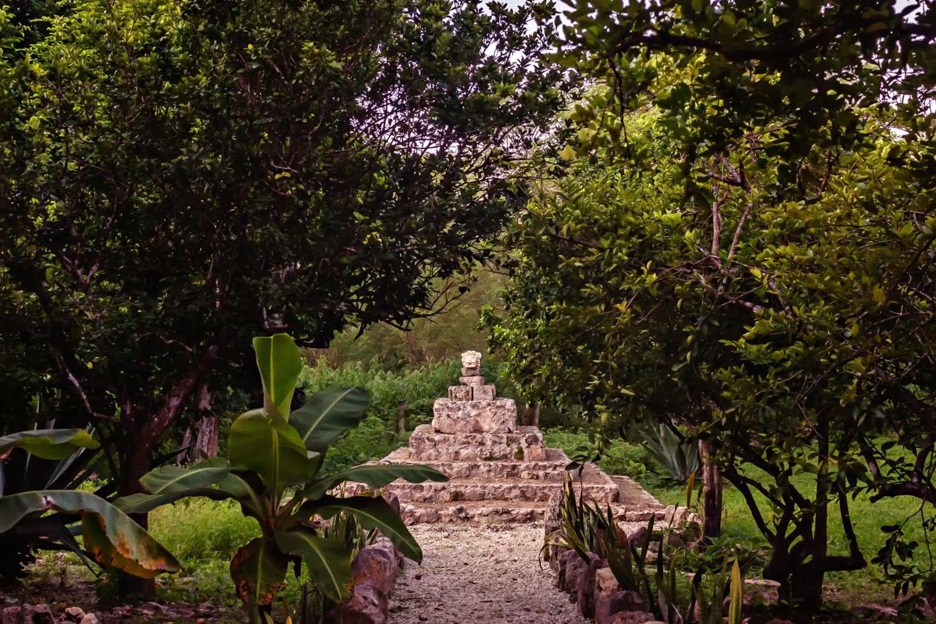 Natural landscape, Garden in Hacienda Sacnicte