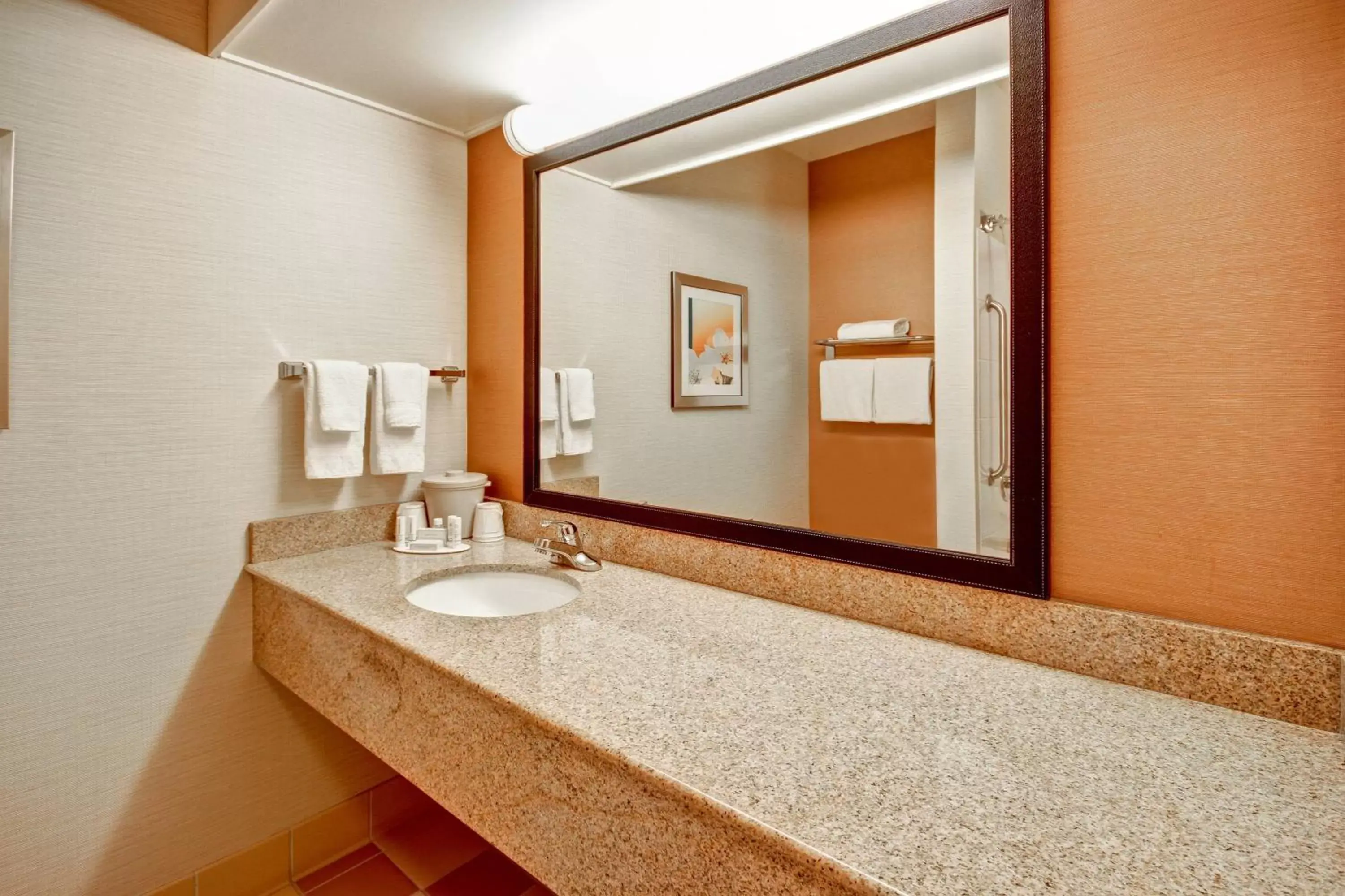 Bathroom in Fairfield Inn & Suites by Marriott Saratoga Malta