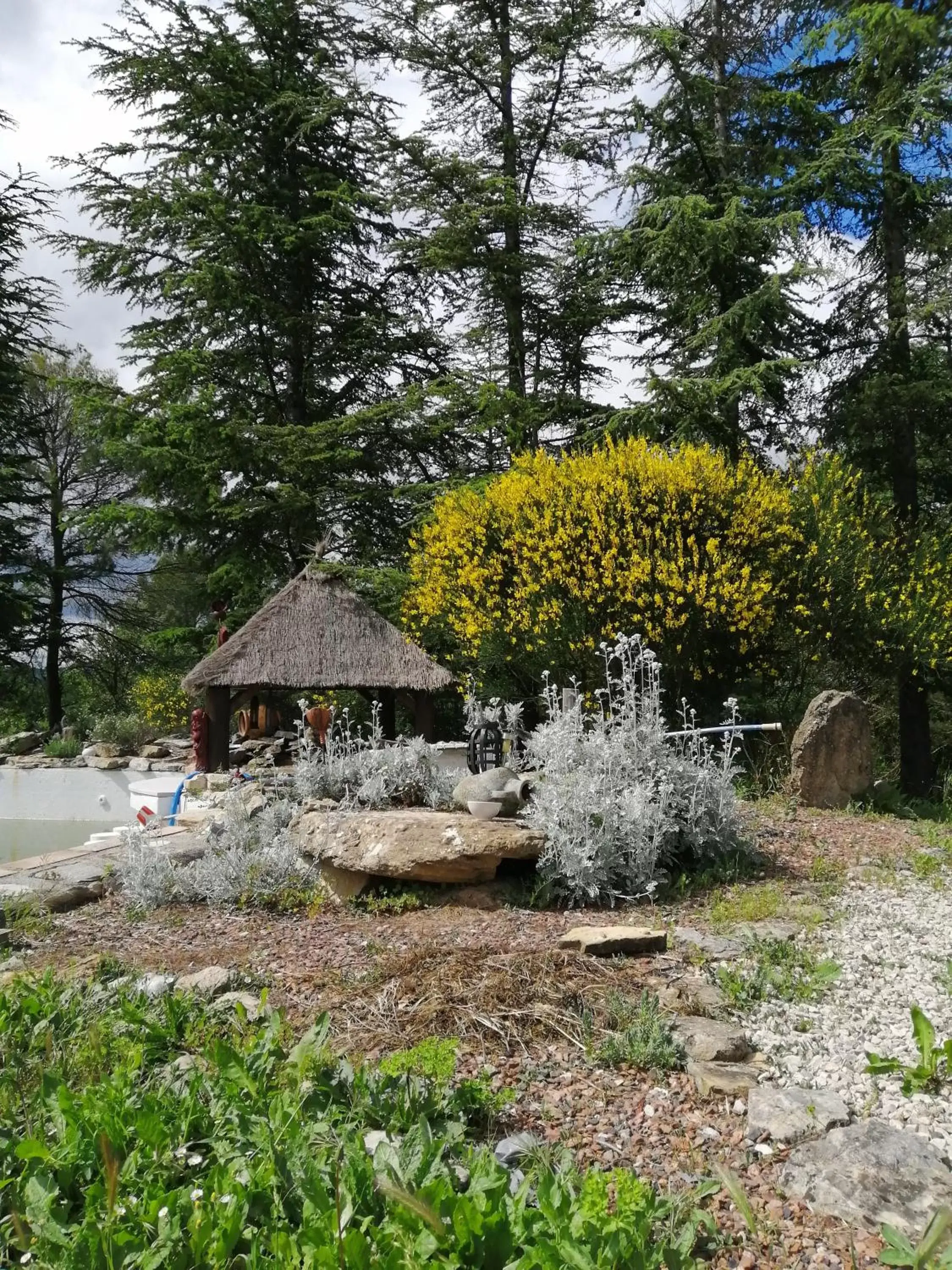 Garden in Suite Cardinale 40m2 chambre d' hôte du Mas Fabrègue