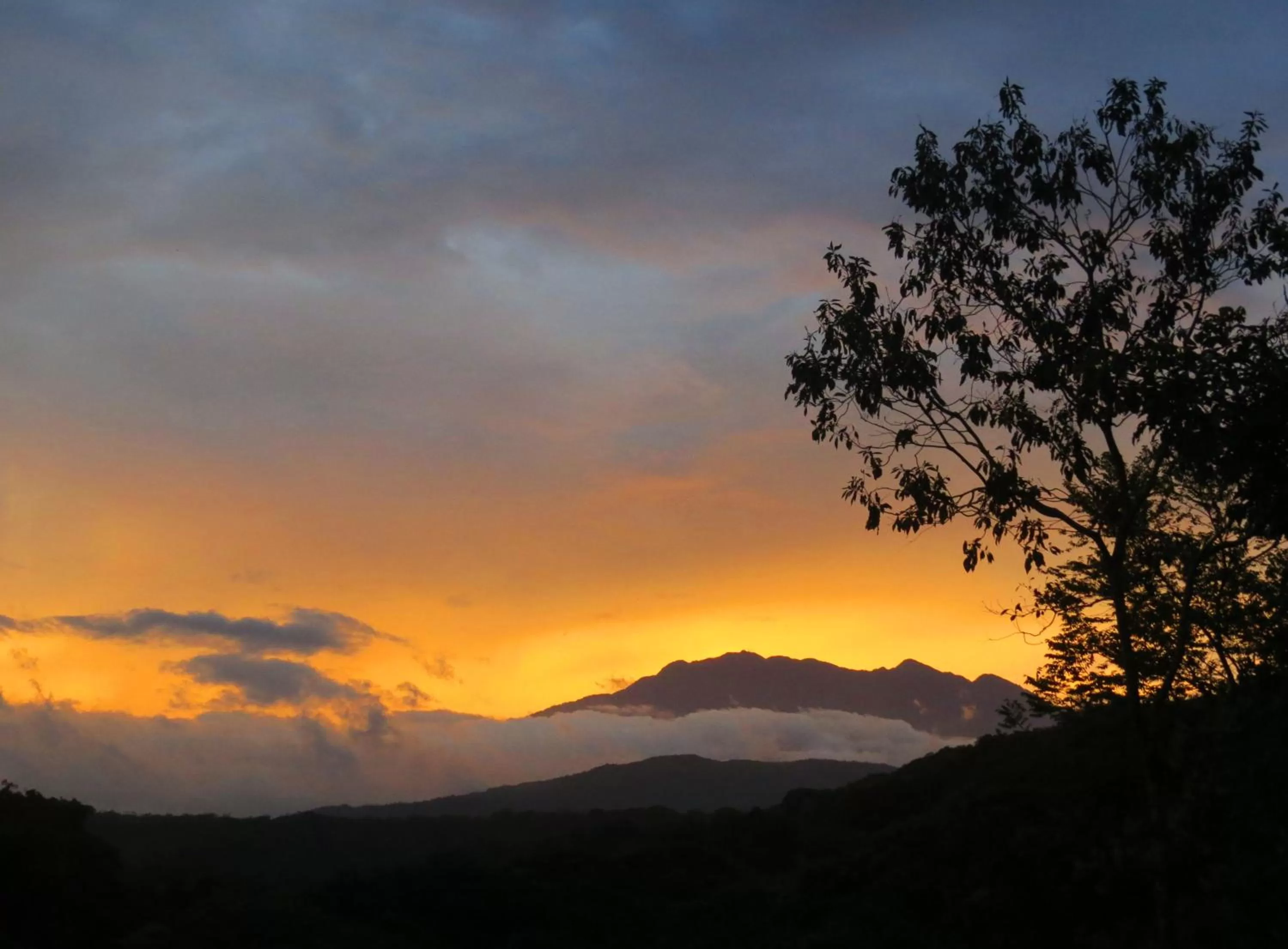 Garden in Cabanas Rio Encantado